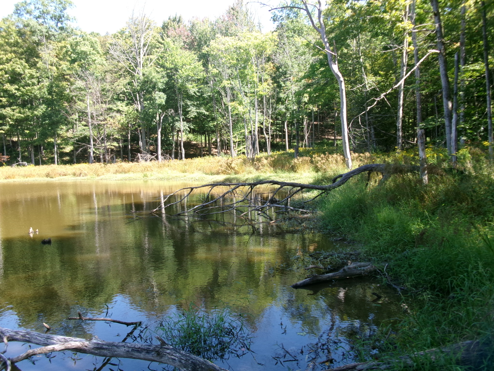Listing Image 47