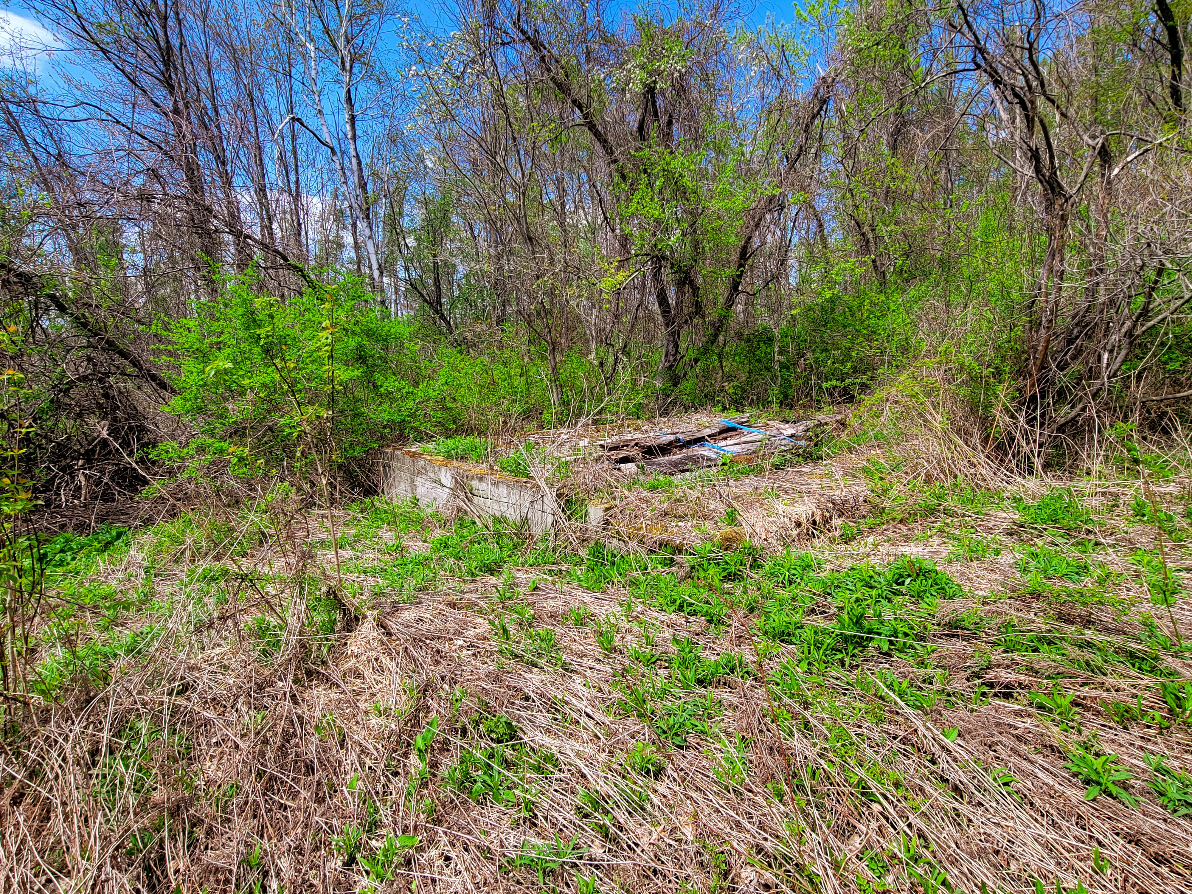 Listing Image 53