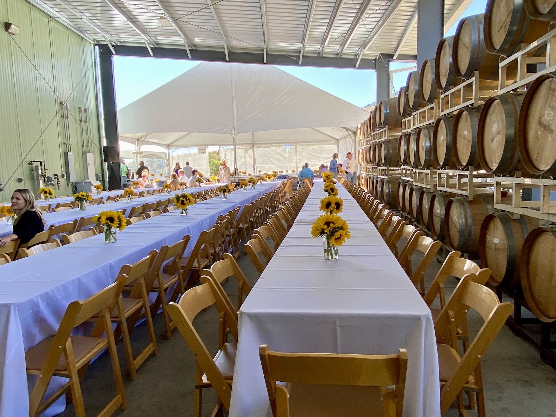 Boekenoogen Santa Lucia Highlands Vineyard