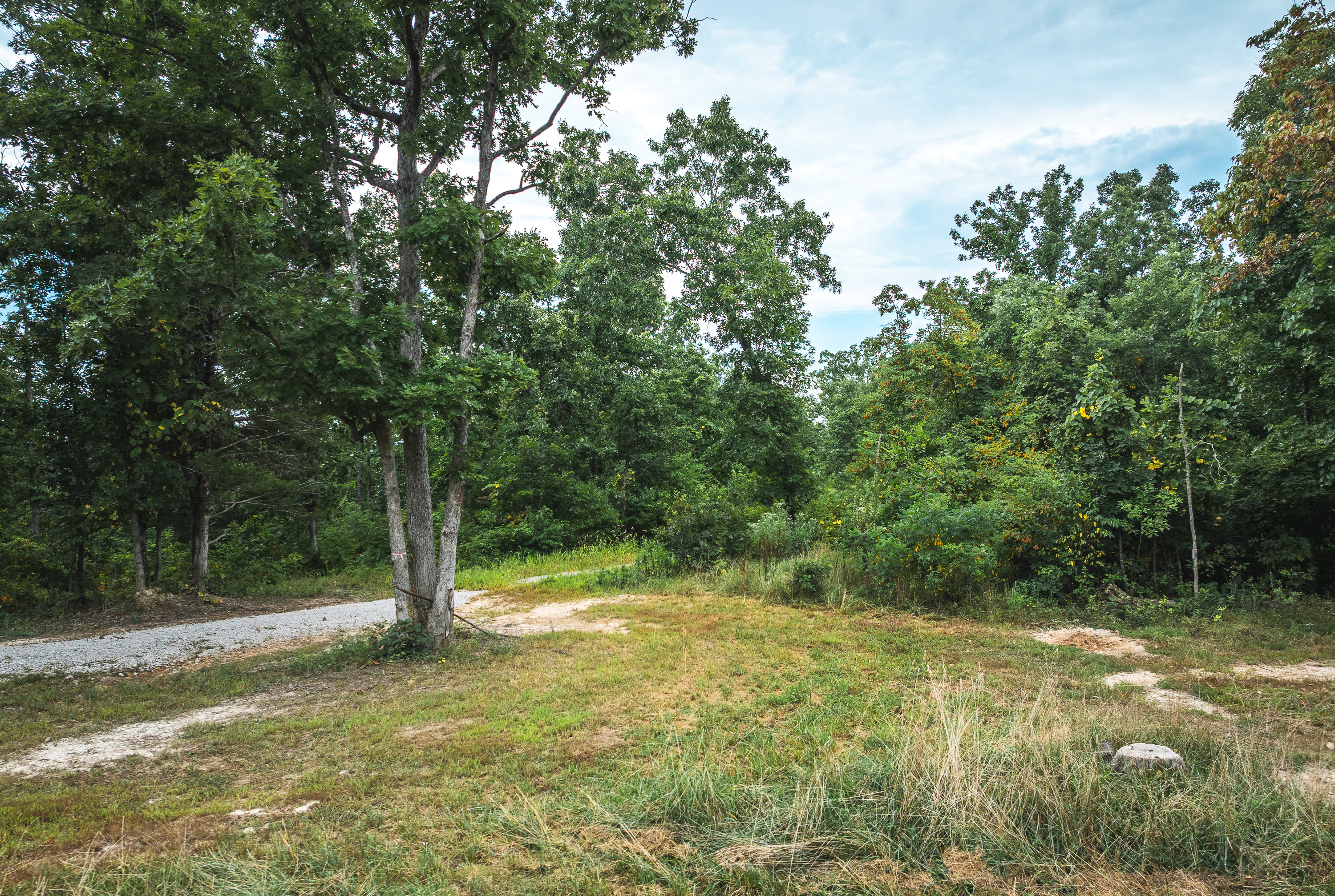 Collins Landing