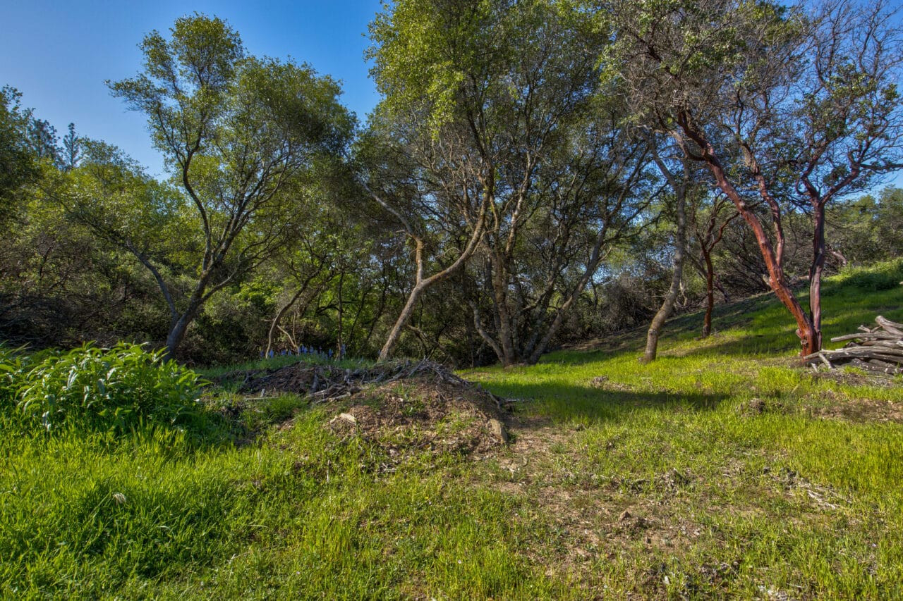 Trembath Mountain Vista