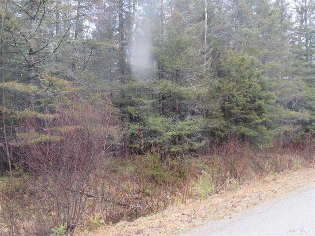 80 Acre Woodland Retreat 50173805