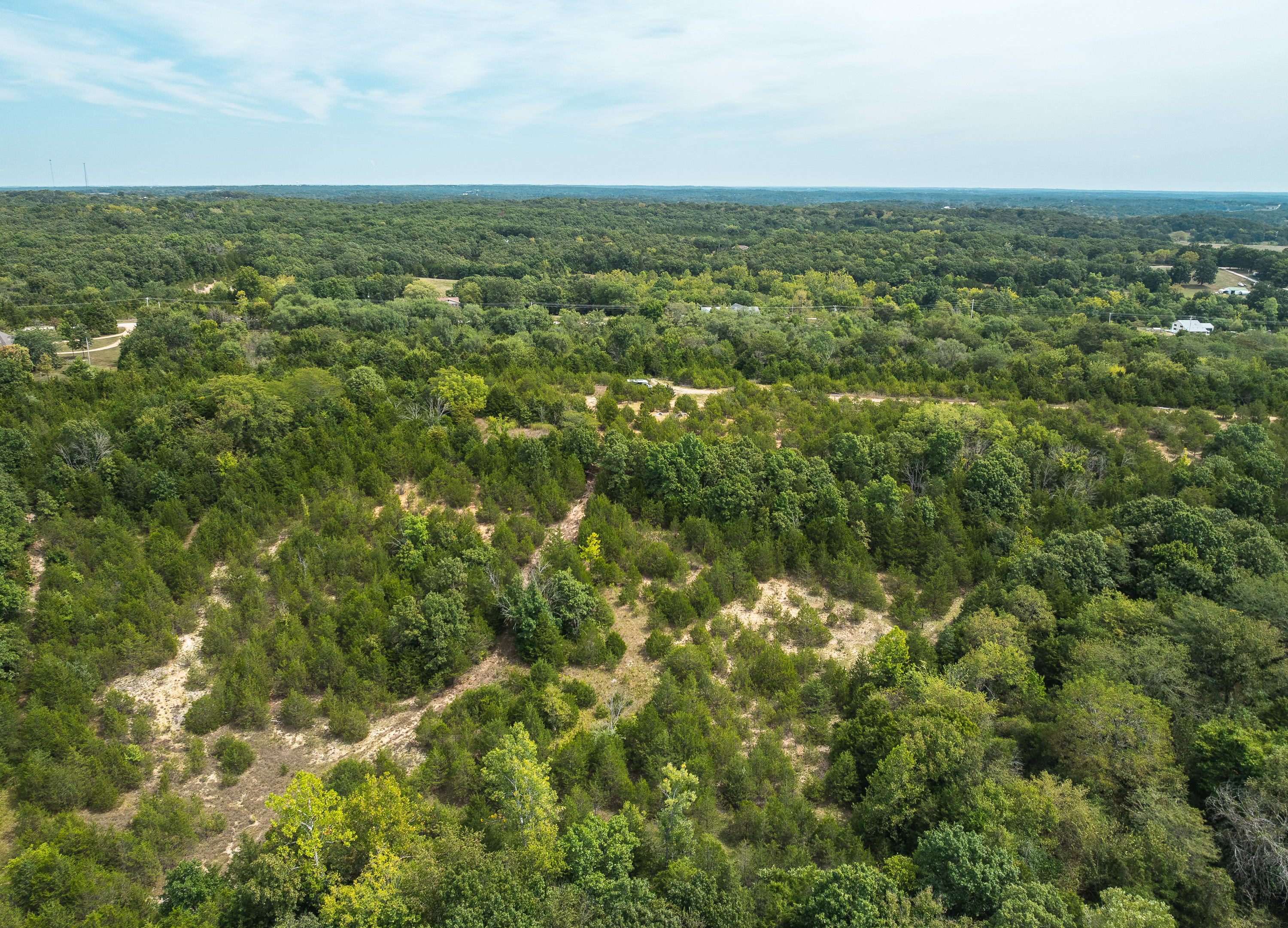 Hickory Hill Hollow