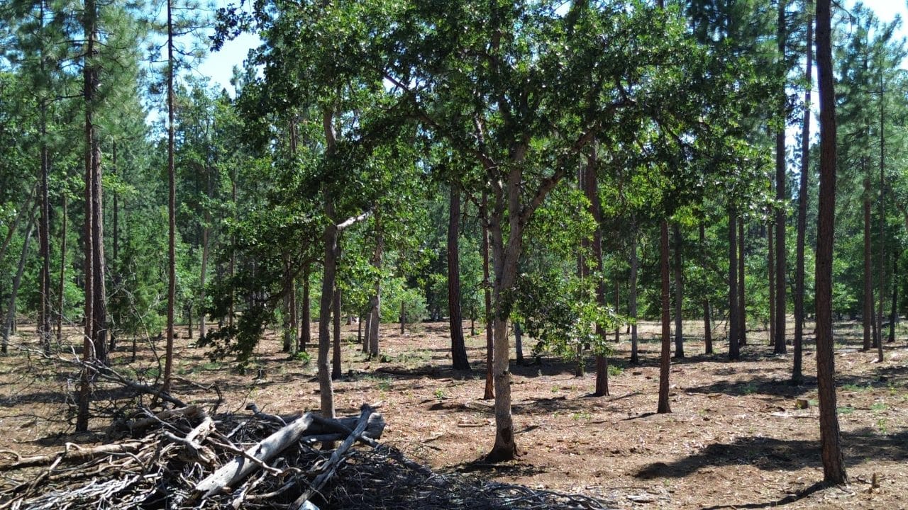 Listing Image 19