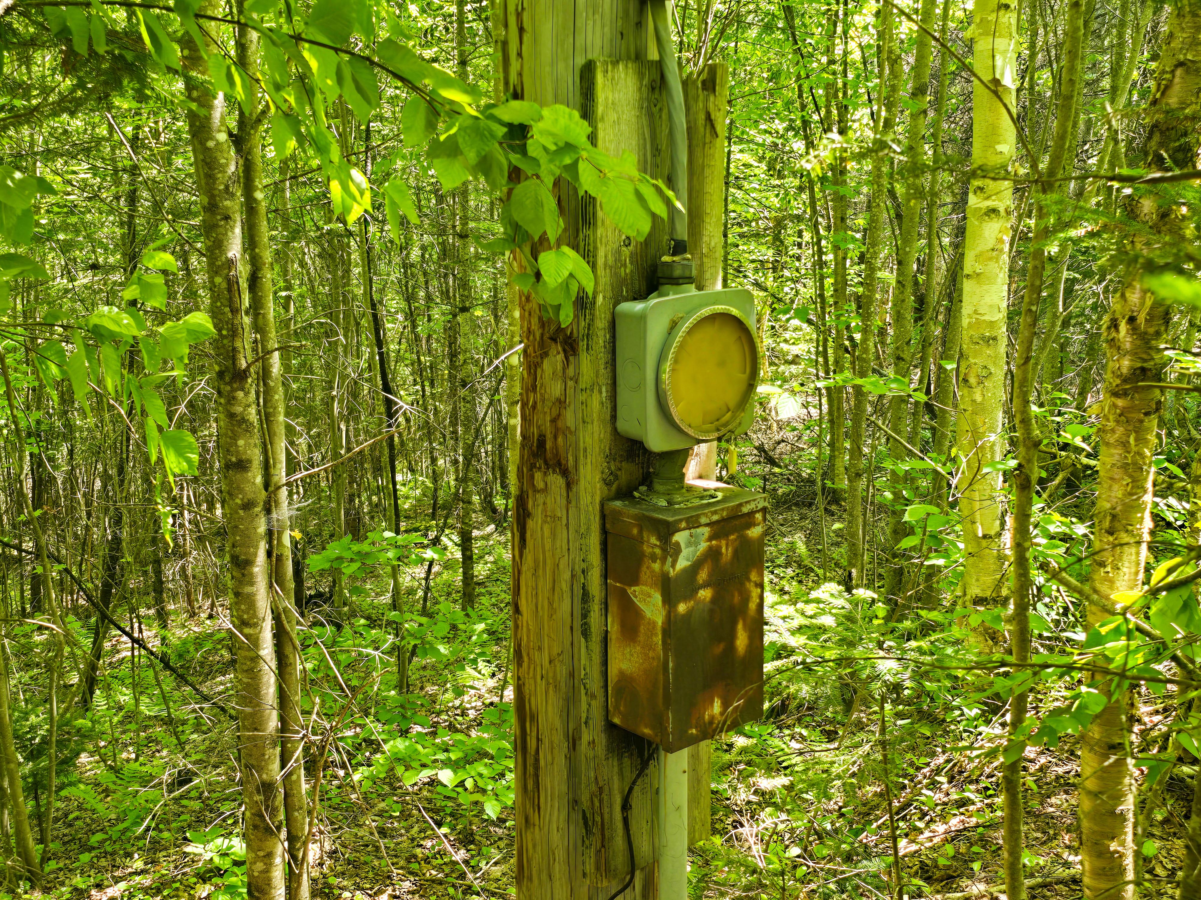 150 Spur Rd - Bloomfield