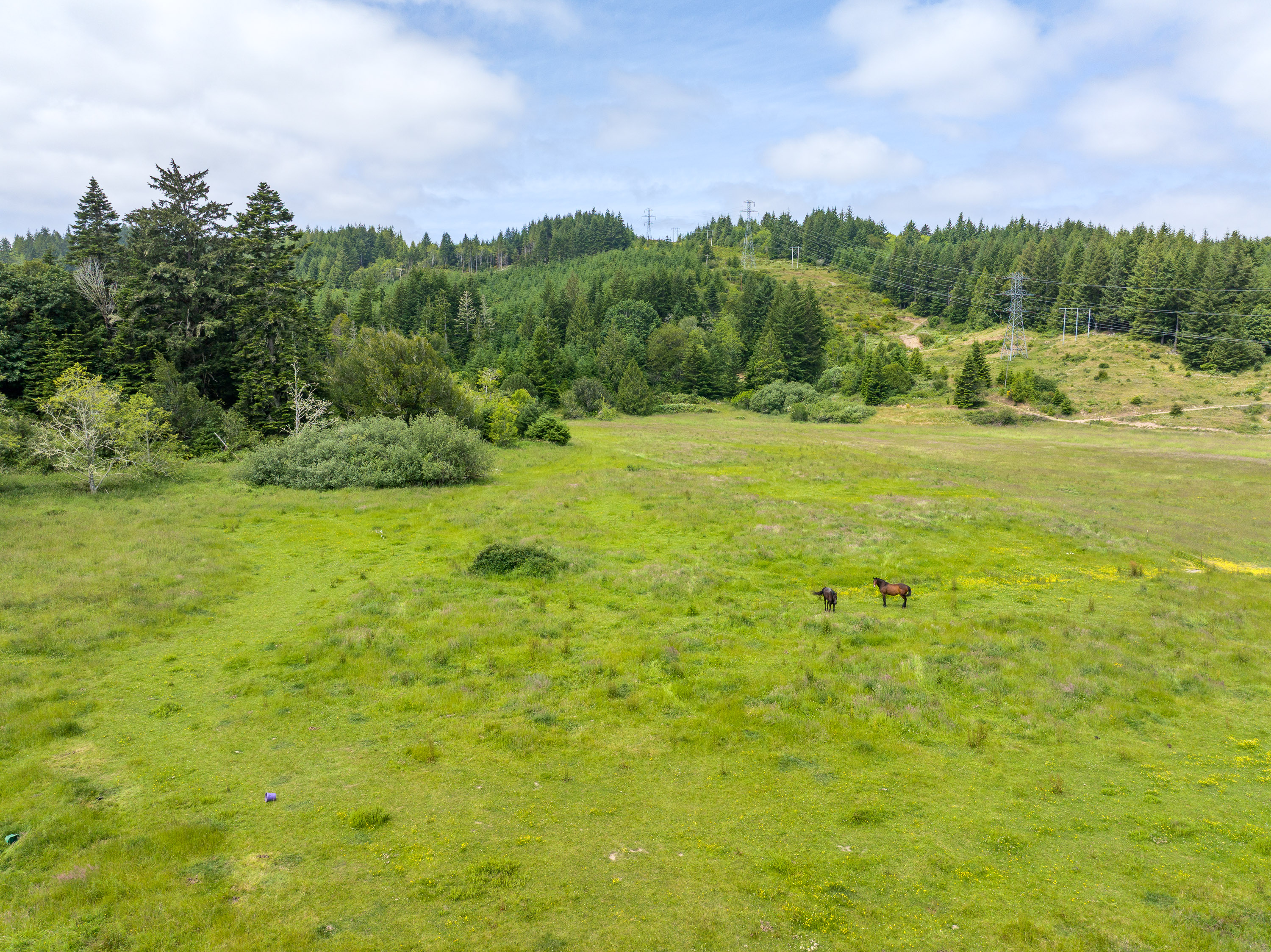 Listing Image 59
