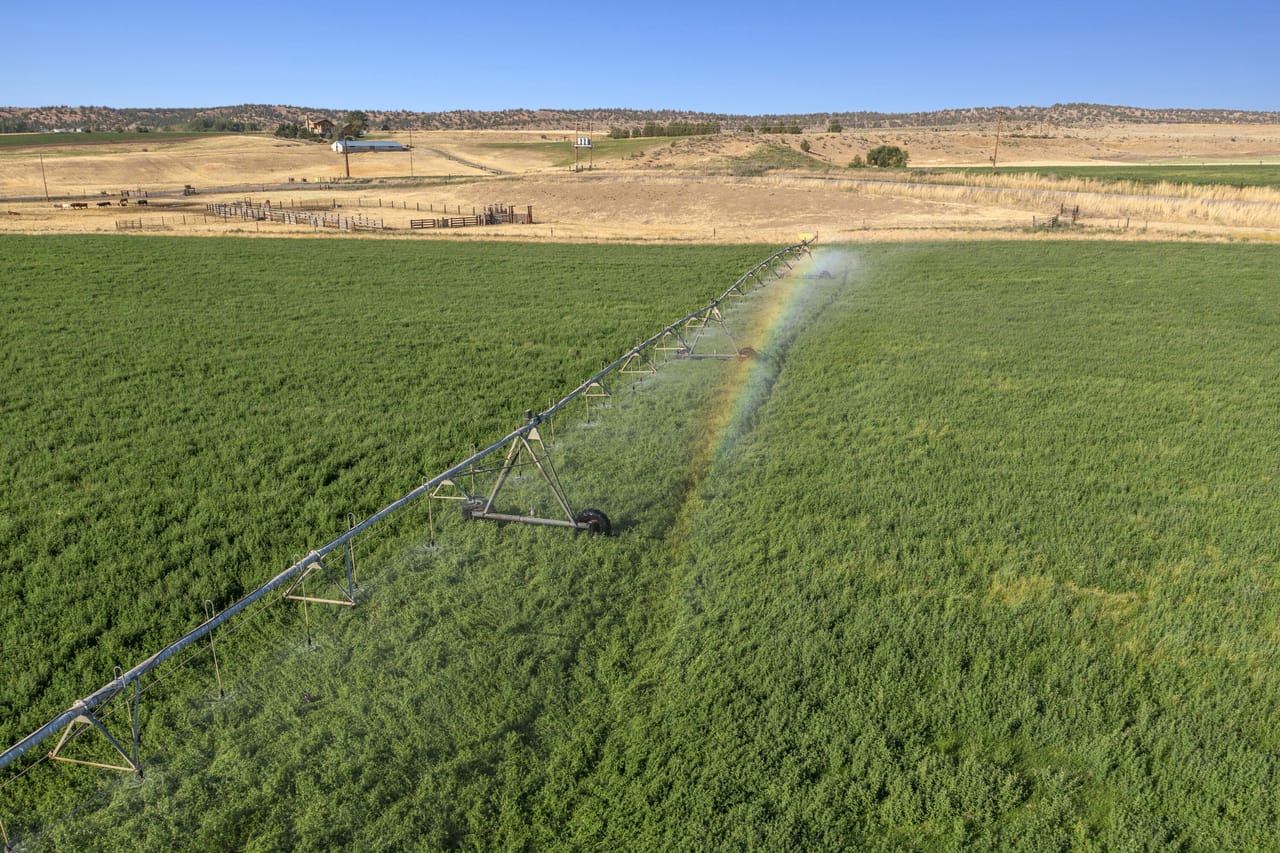 NE Cherry Lane - Productive Irrigated Farm for Sale