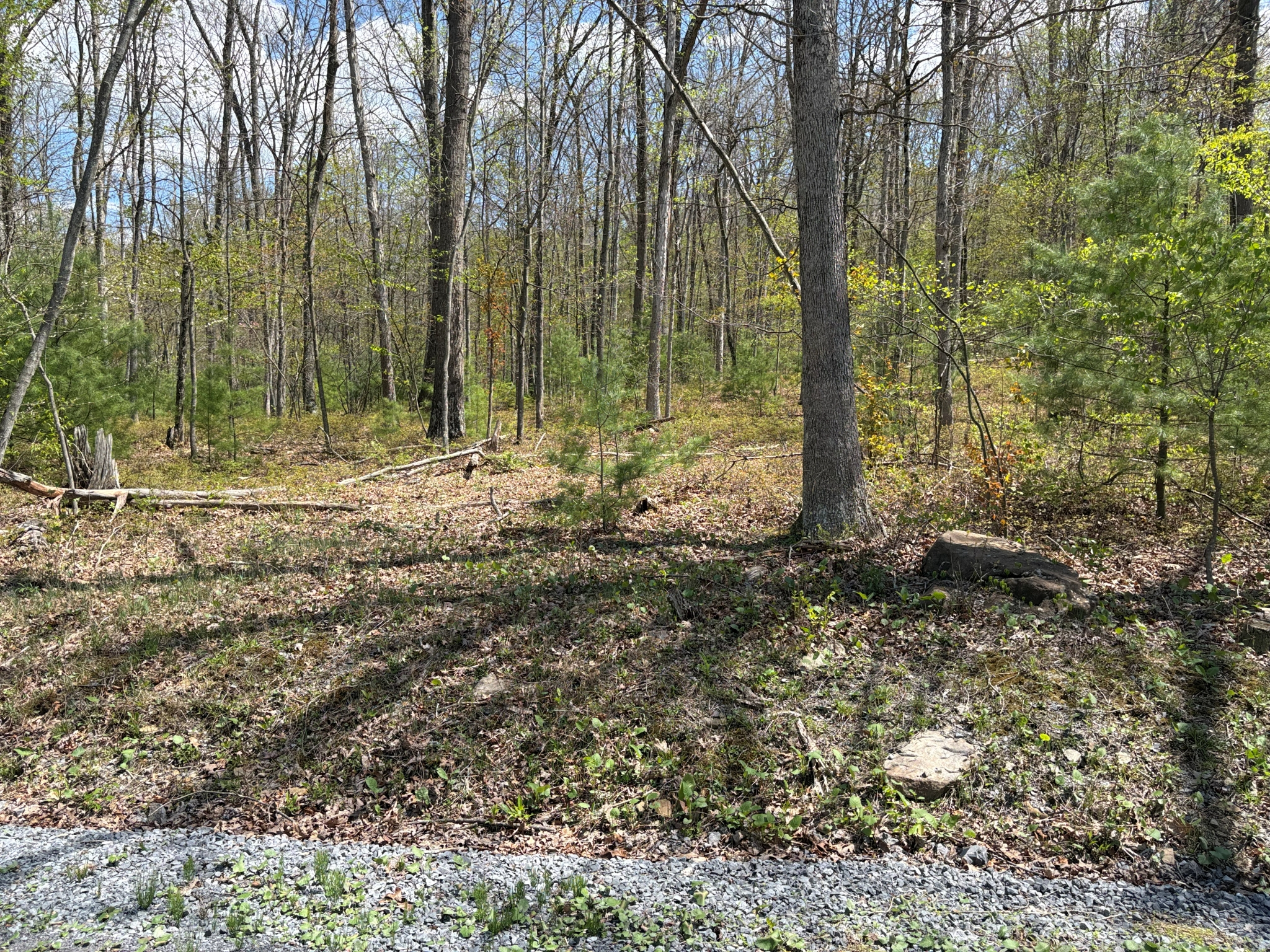Listing Image 35