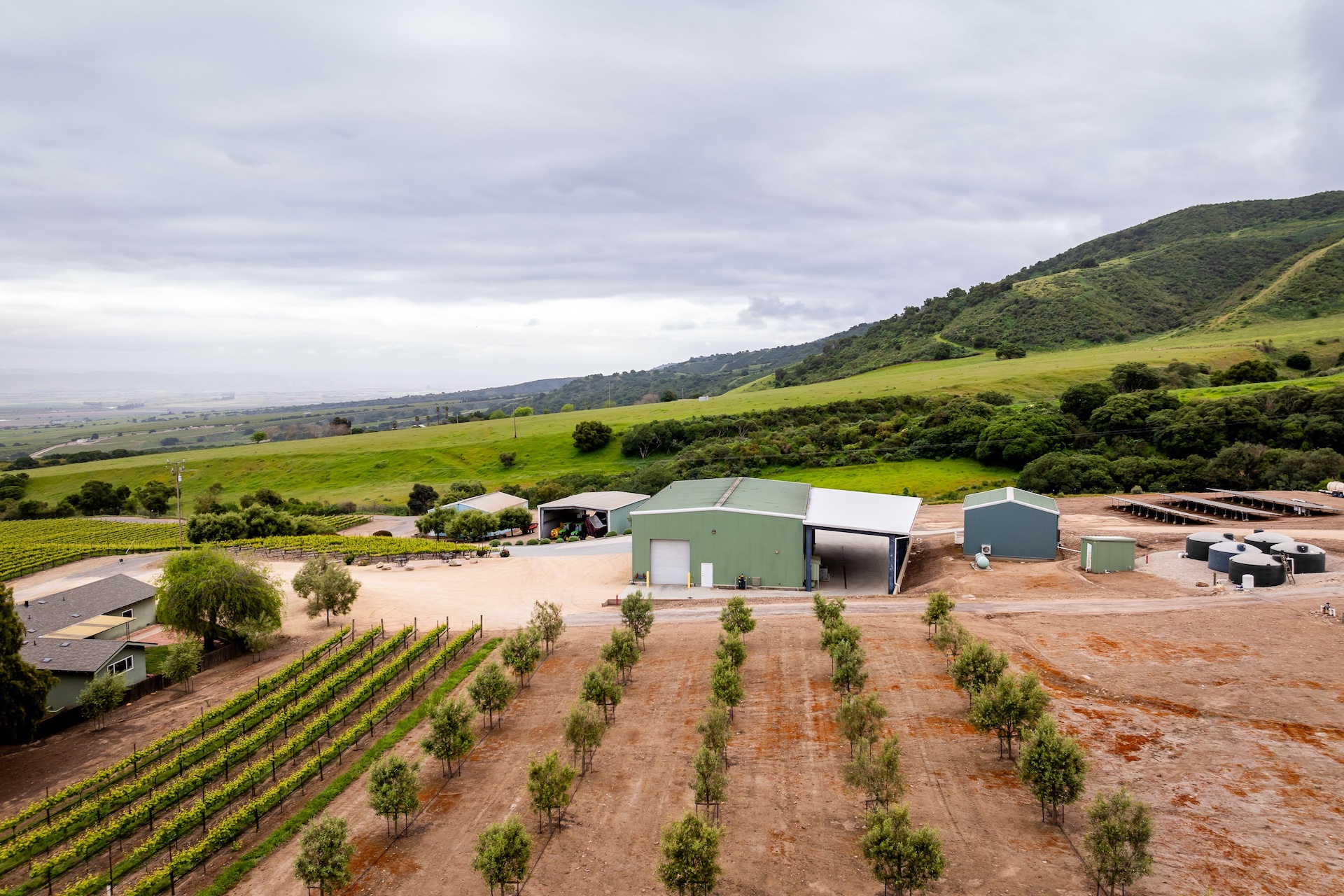 Boekenoogen Santa Lucia Highlands Vineyard