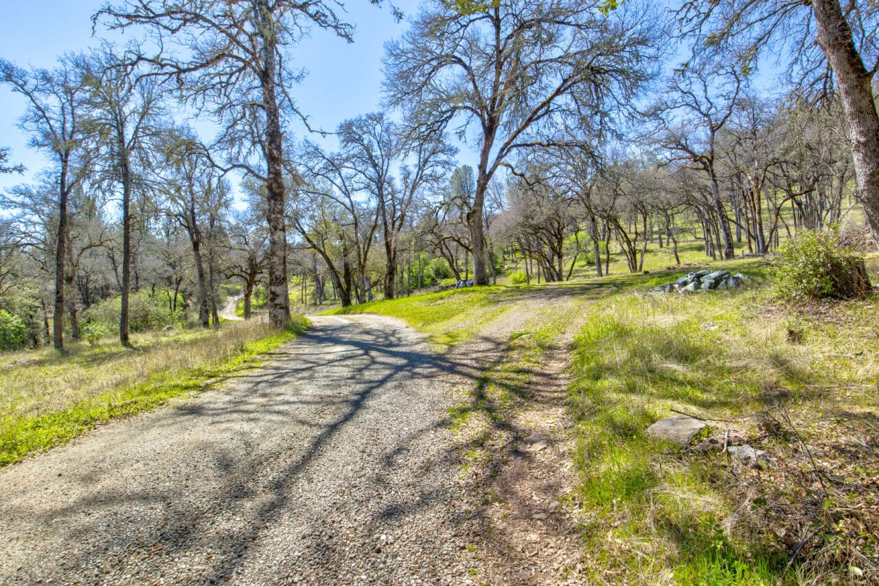 Oakridge Estate