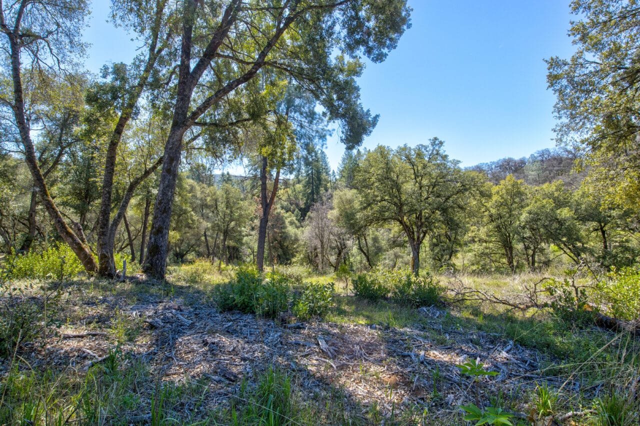 Oakridge Estate