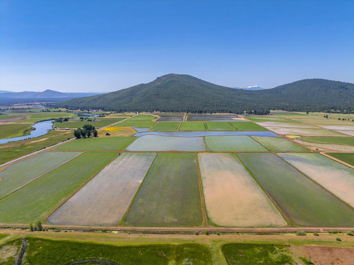 Listing Image 86