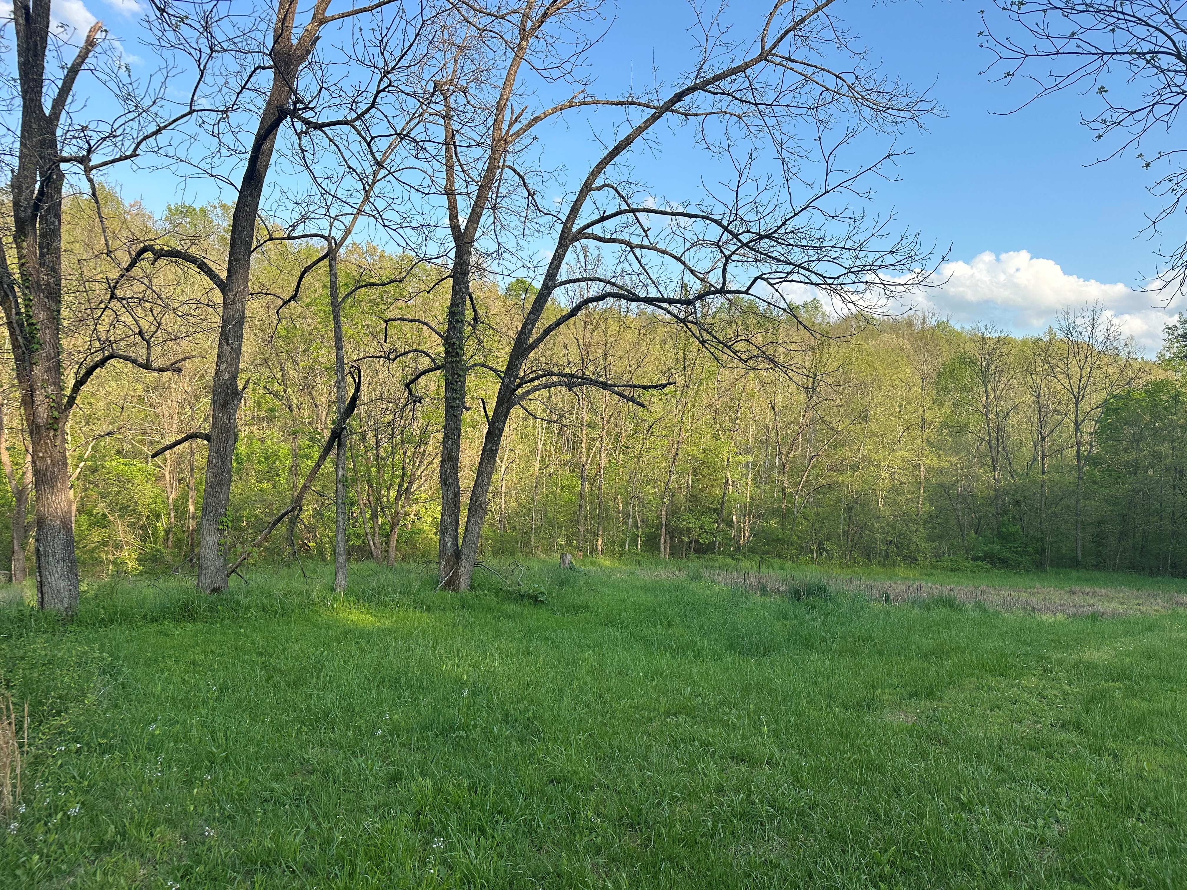 Wash Creek Retreat