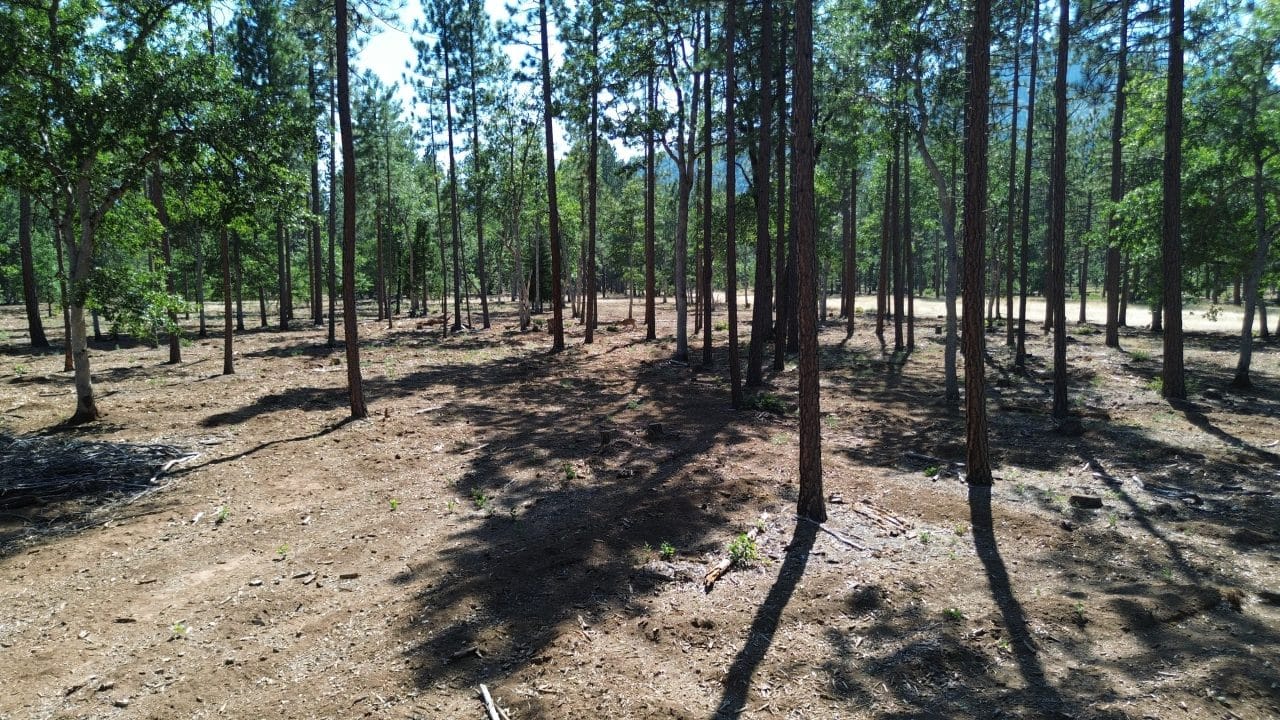 Listing Image 17