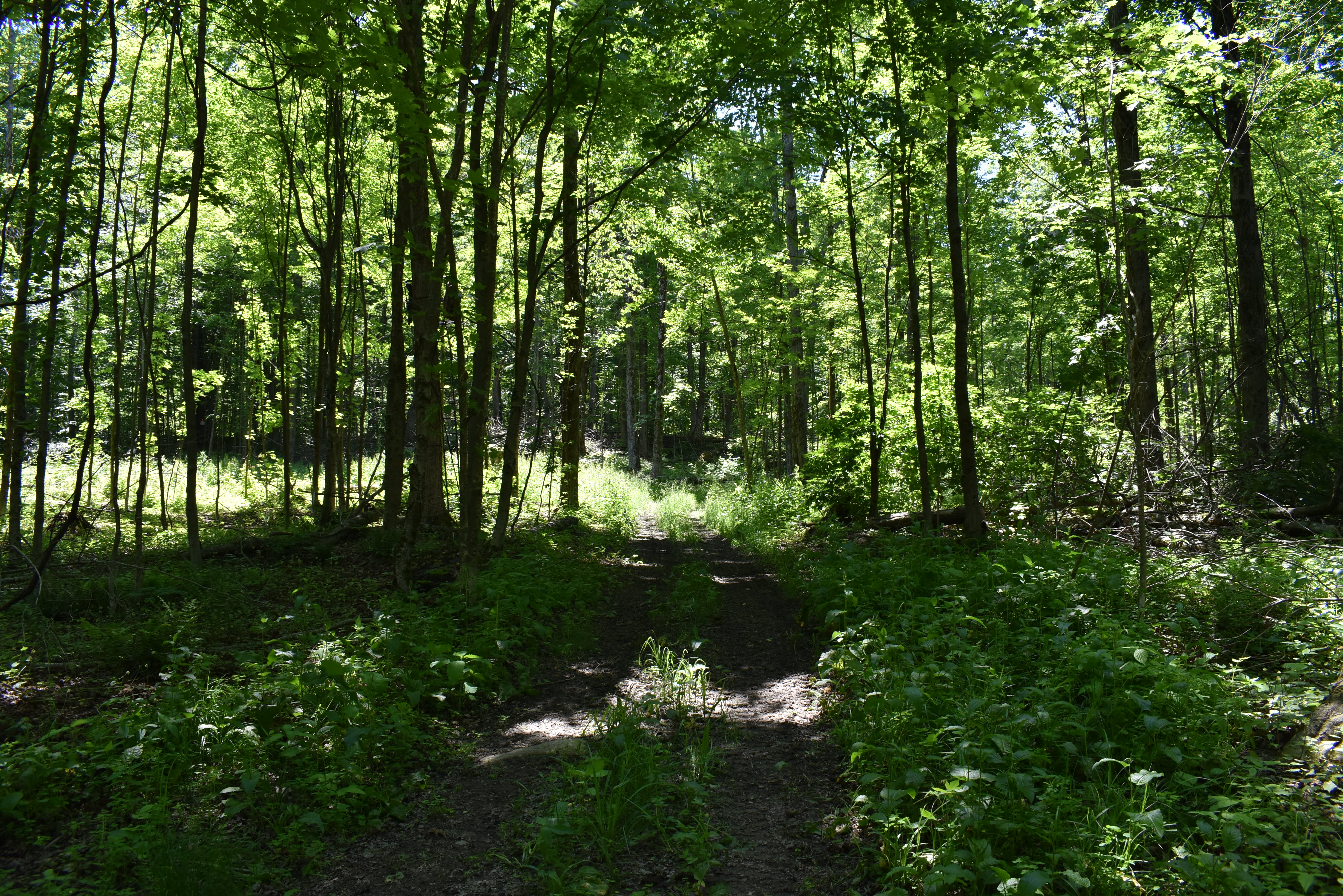Fabulous Farrington Hollow