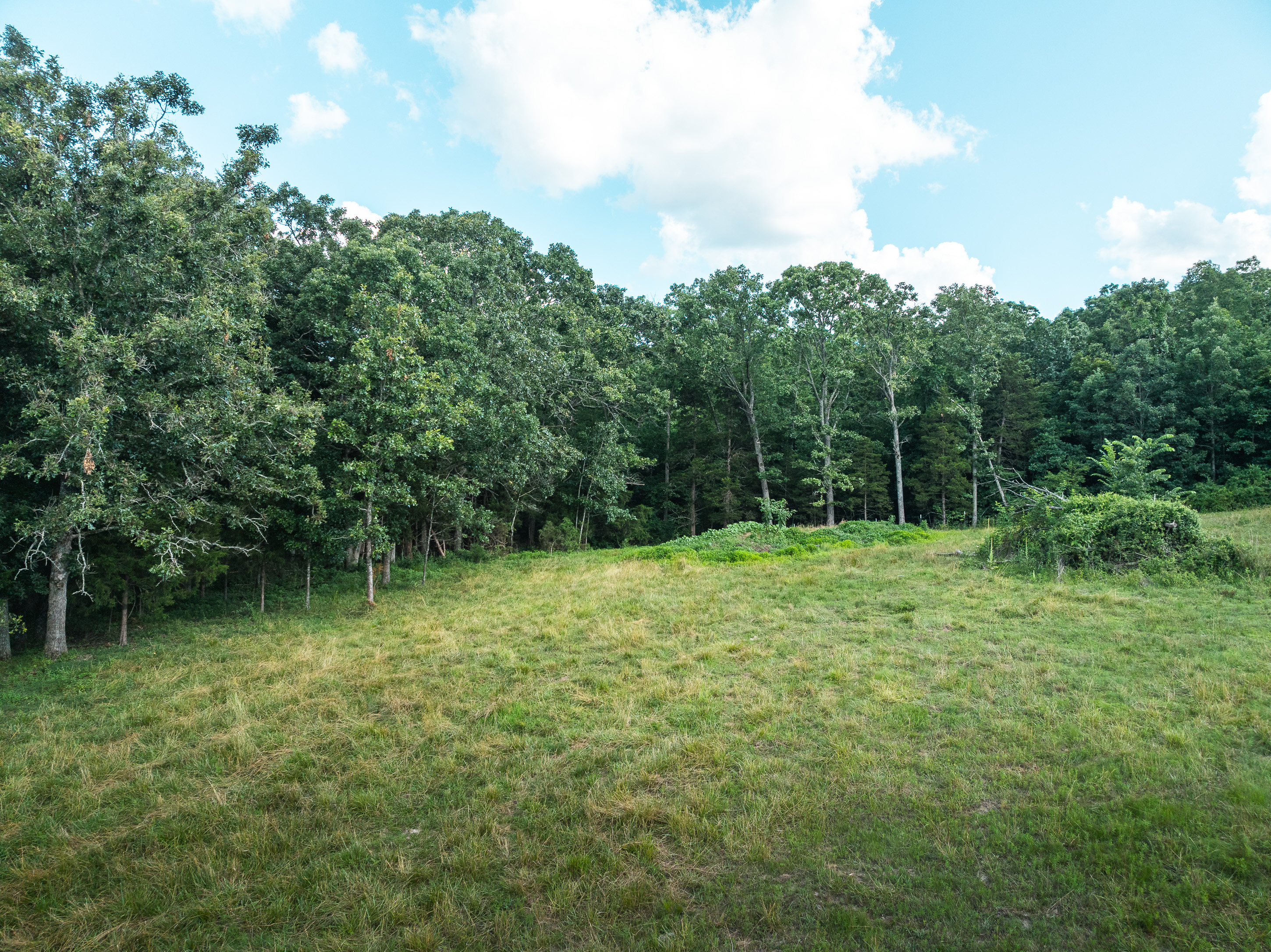 Listing Image 66