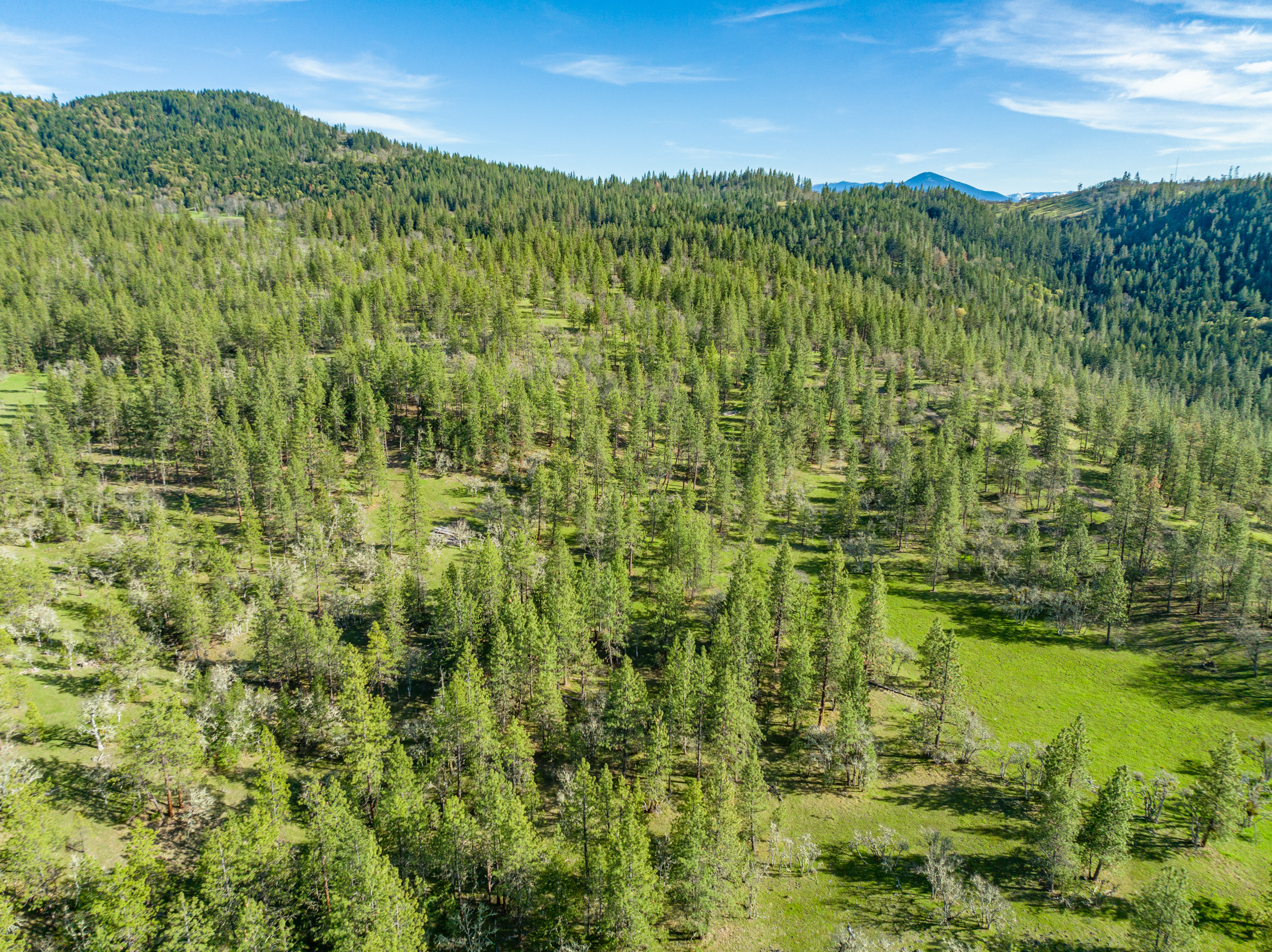 Mount Baldy Ranch