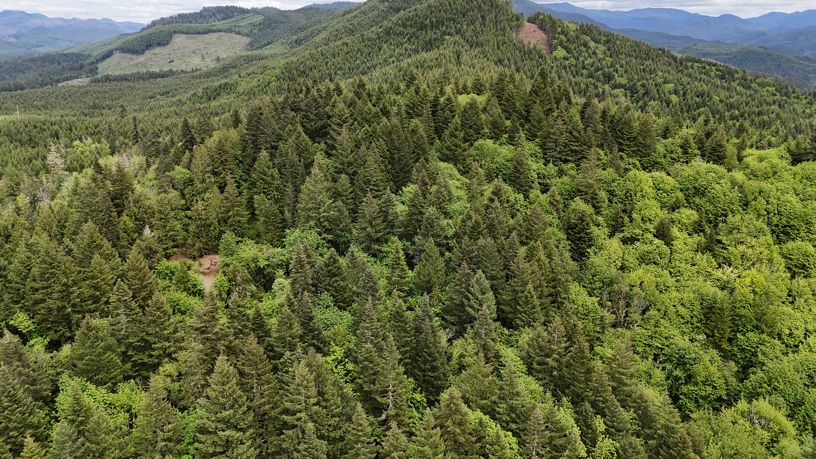 83715 Peninsula Rd Fall Creek OR