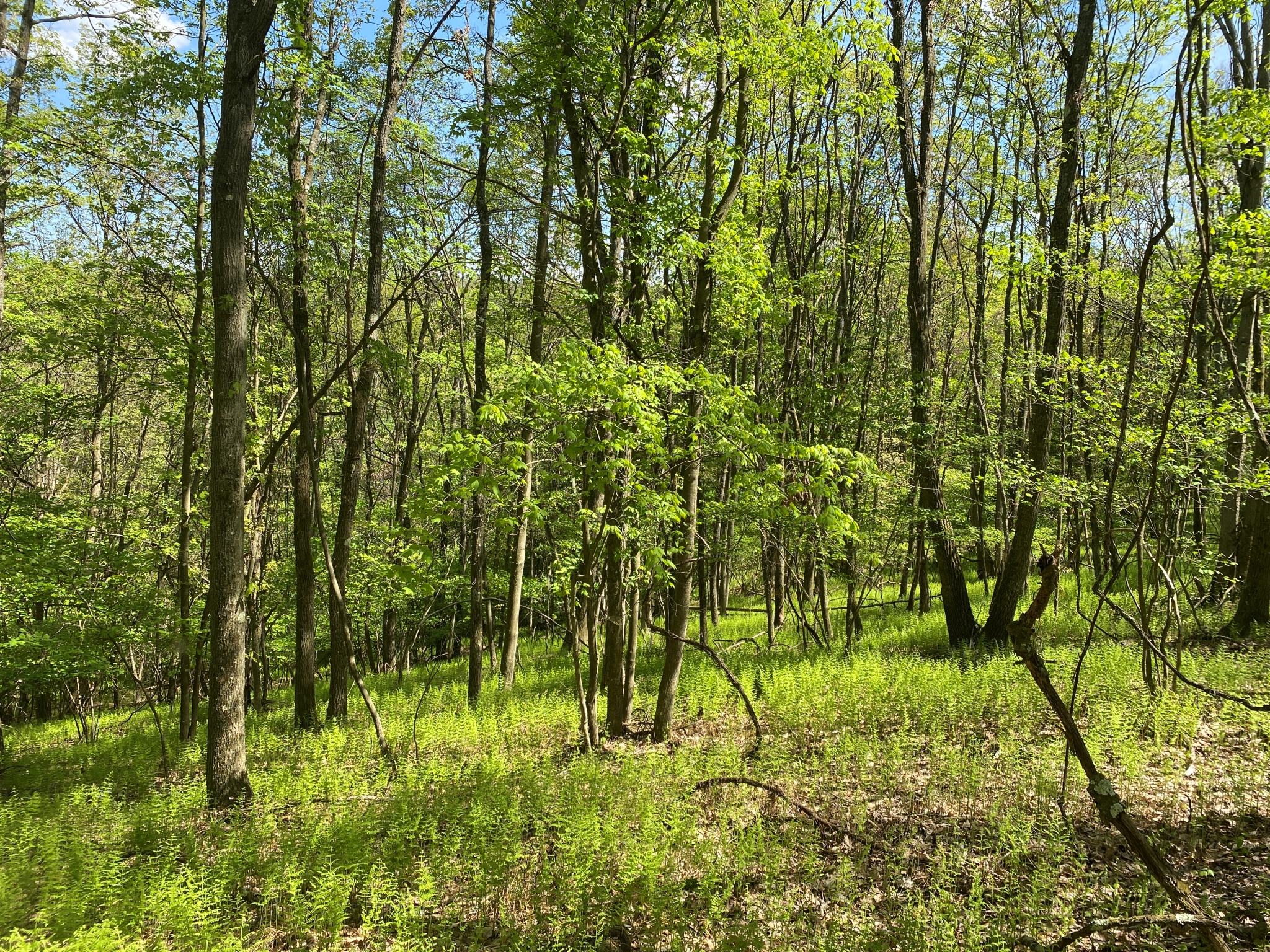 Listing Image 25