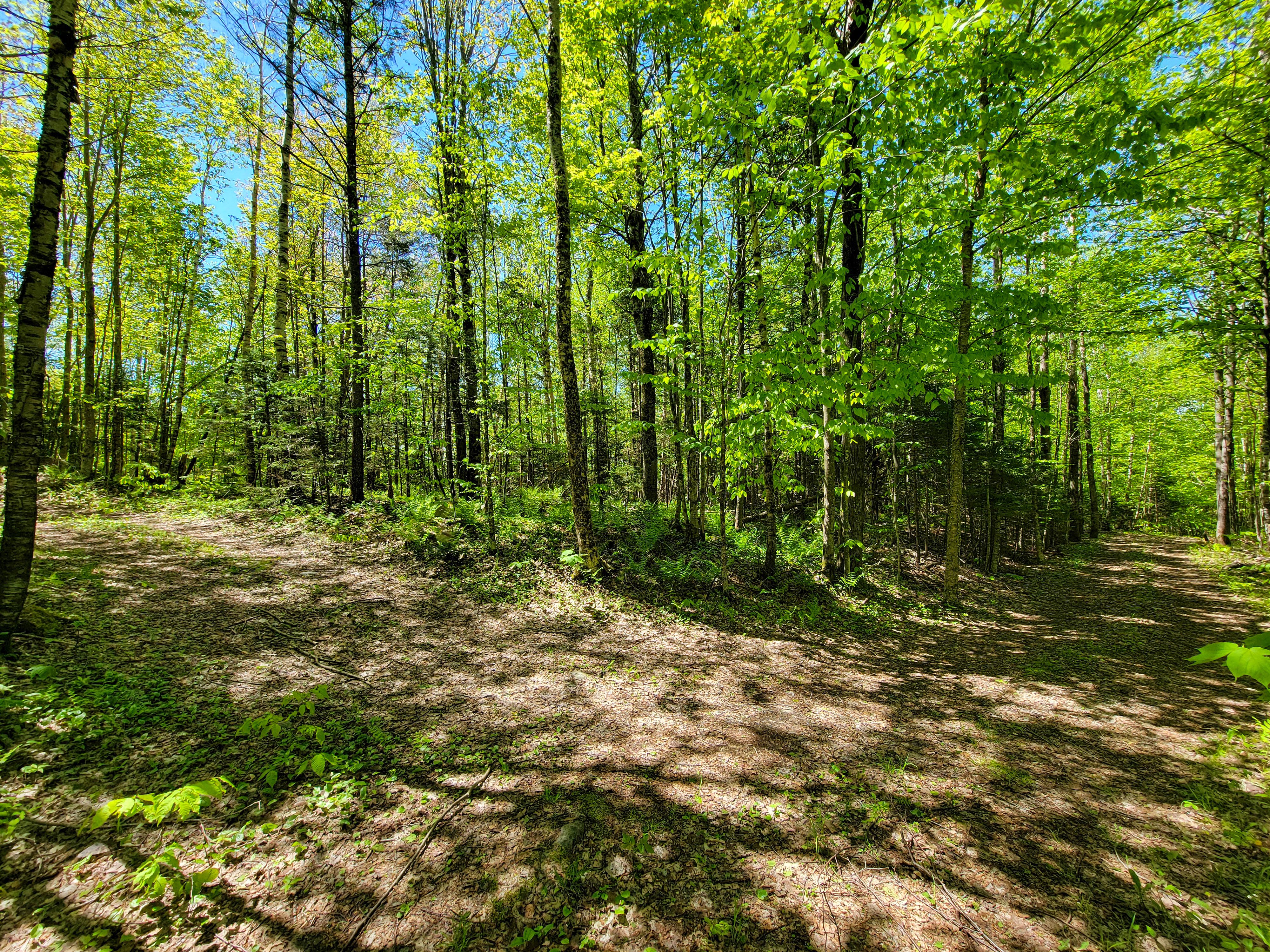 925 Hathaway Rd - Goshen