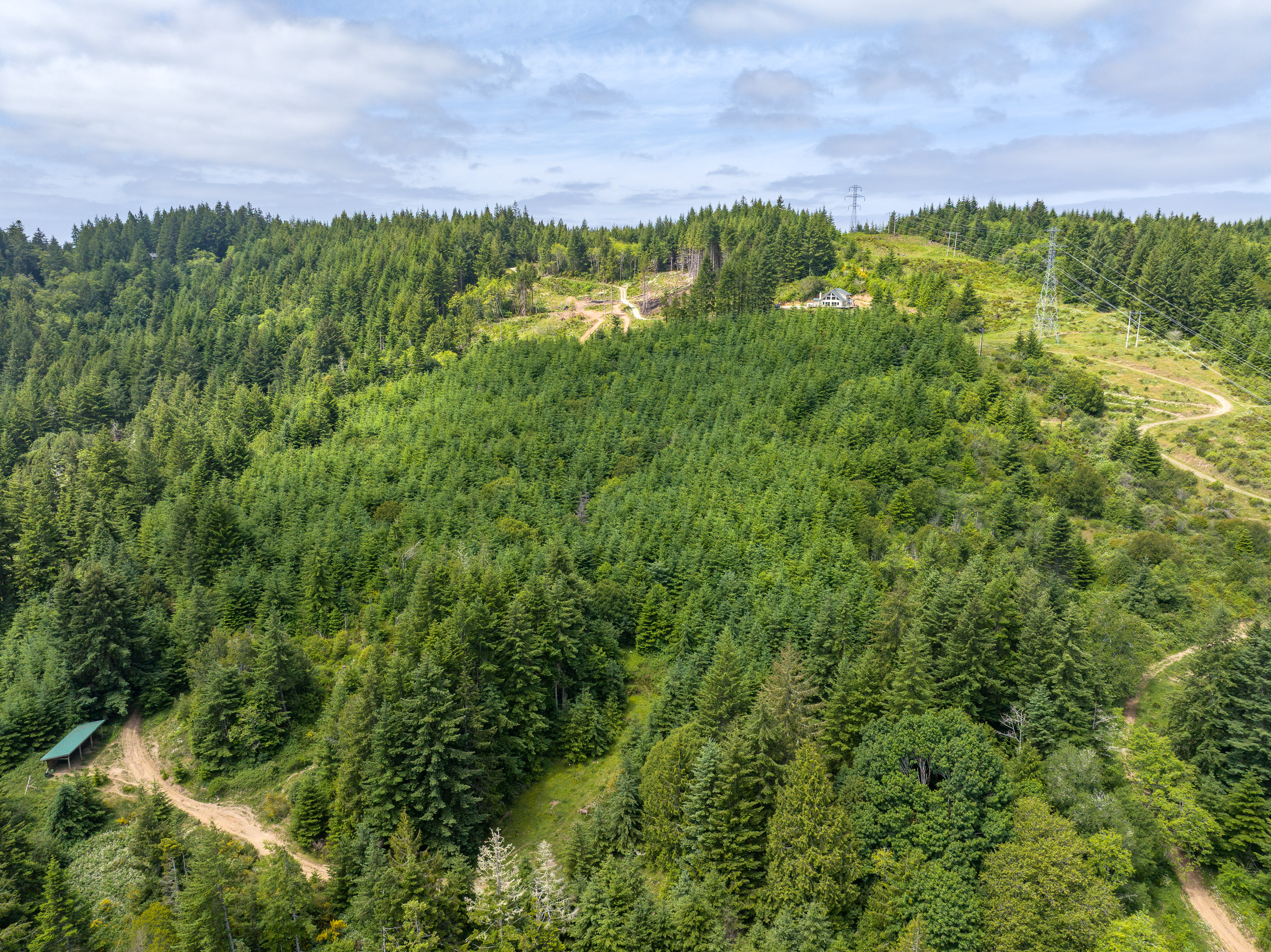 Listing Image 58