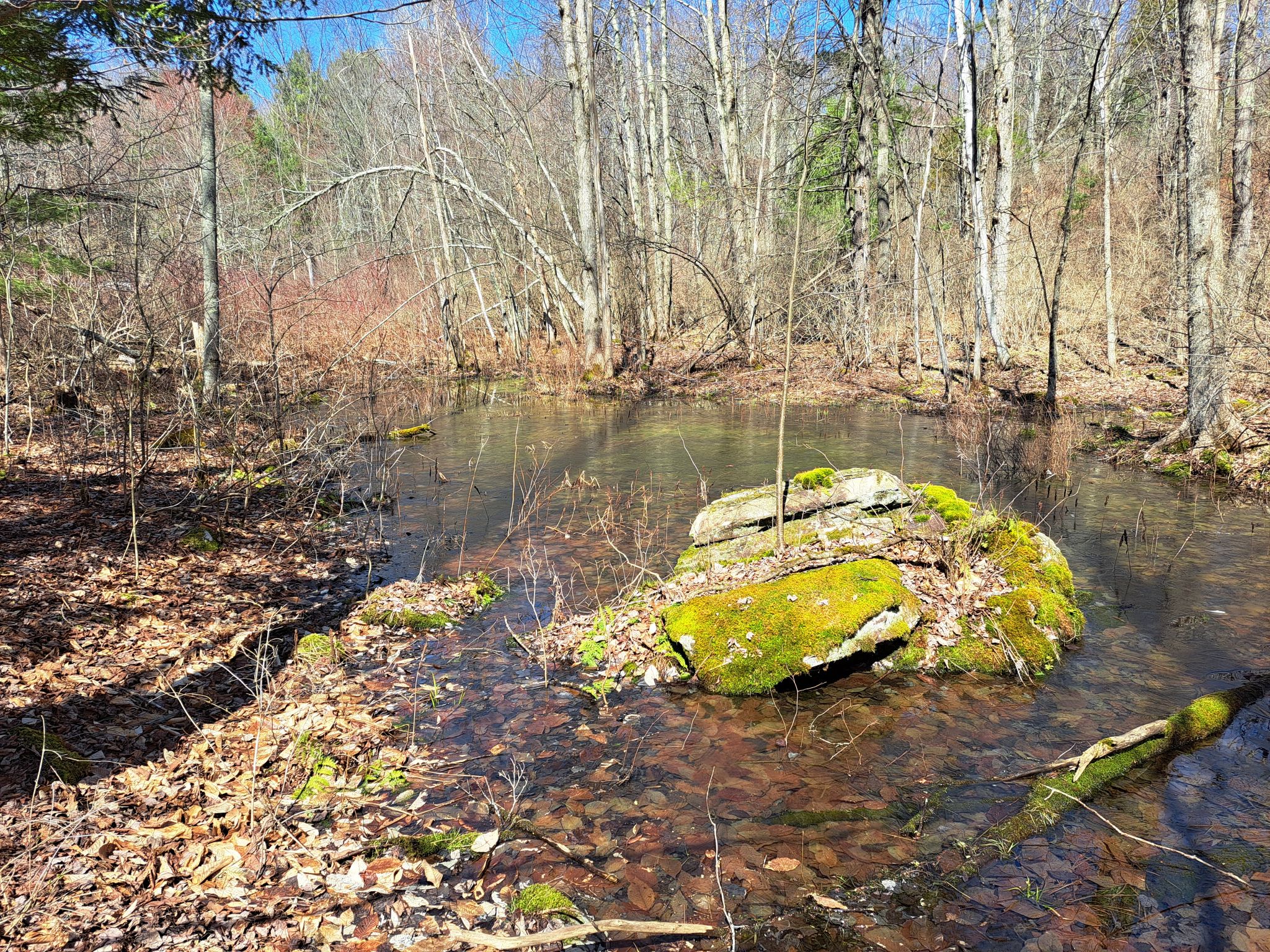 Listing Image 16
