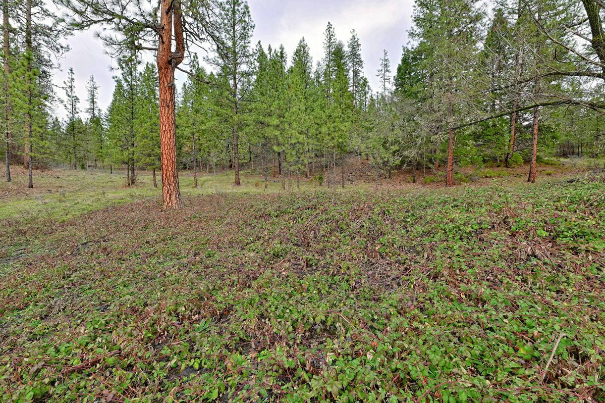 Listing Image 27