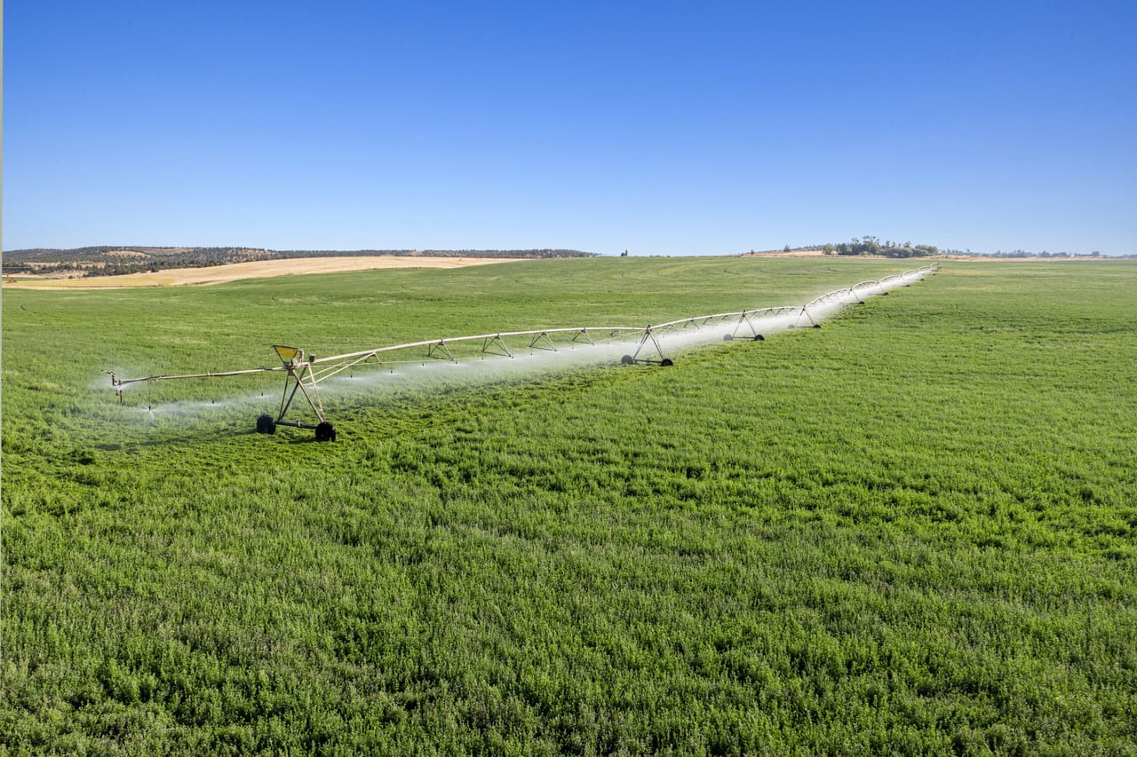 NE Cherry Lane - Productive Irrigated Farm for Sale