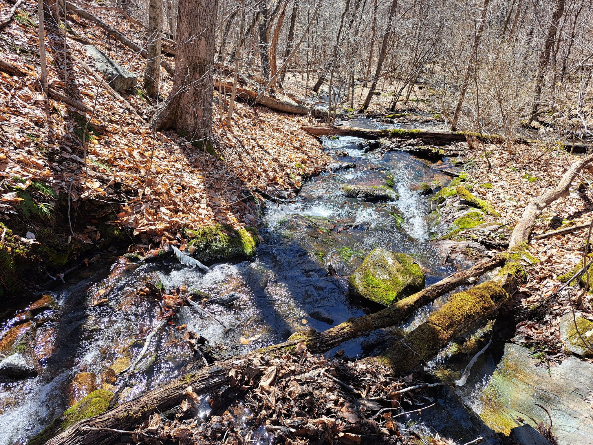 Listing Image 28