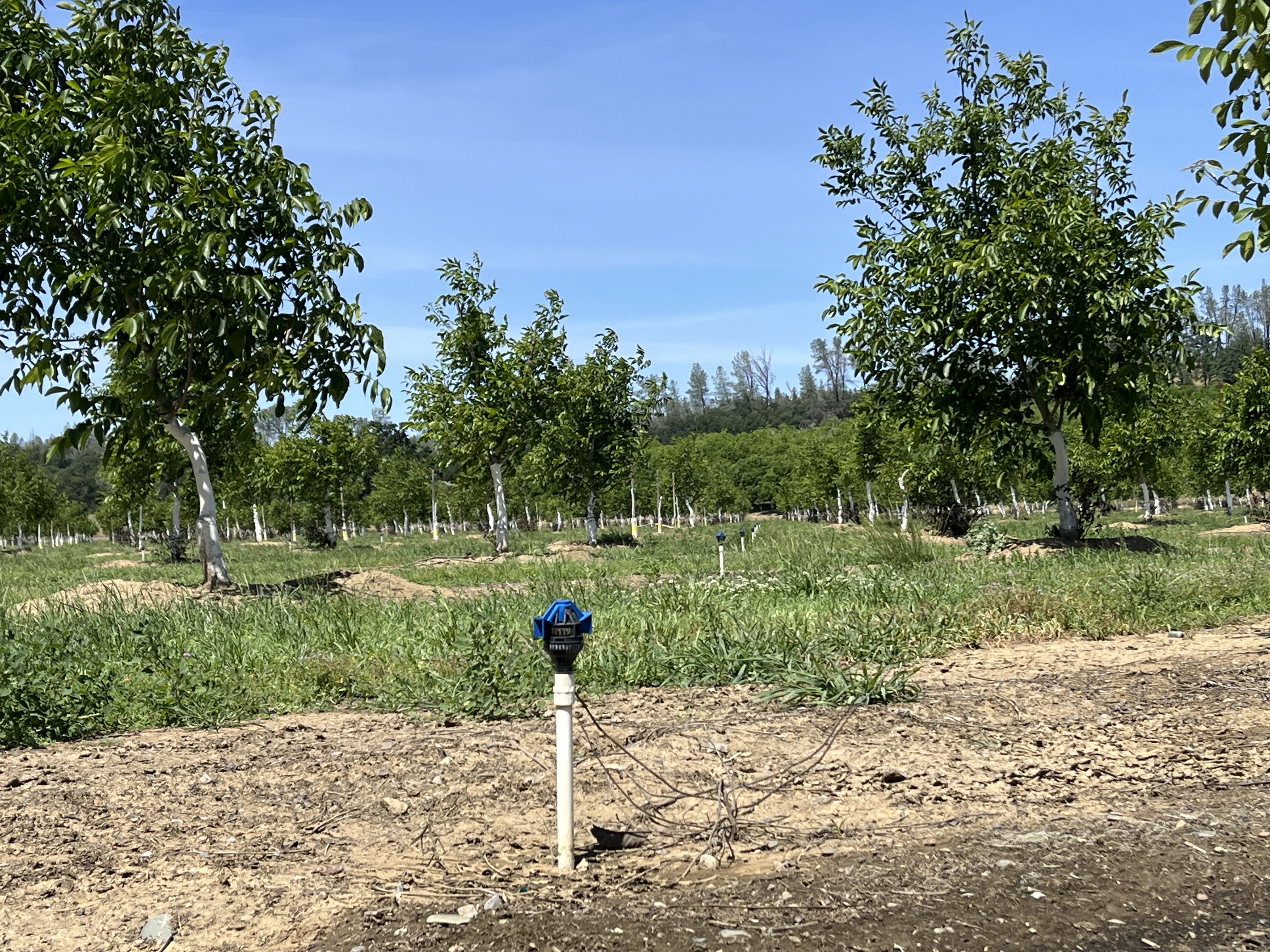 Listing Image 34