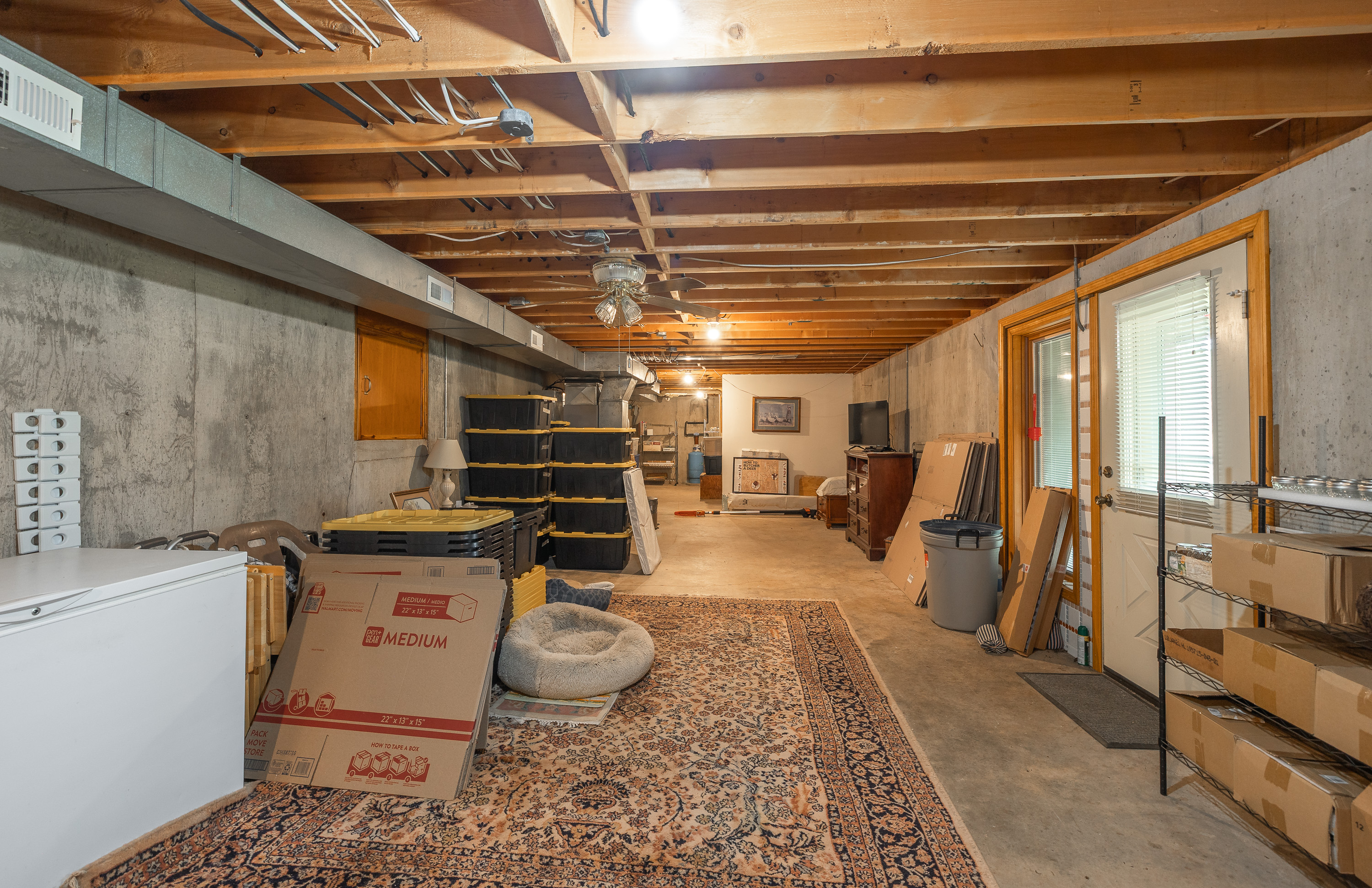 Little Gladden Creek Hunter