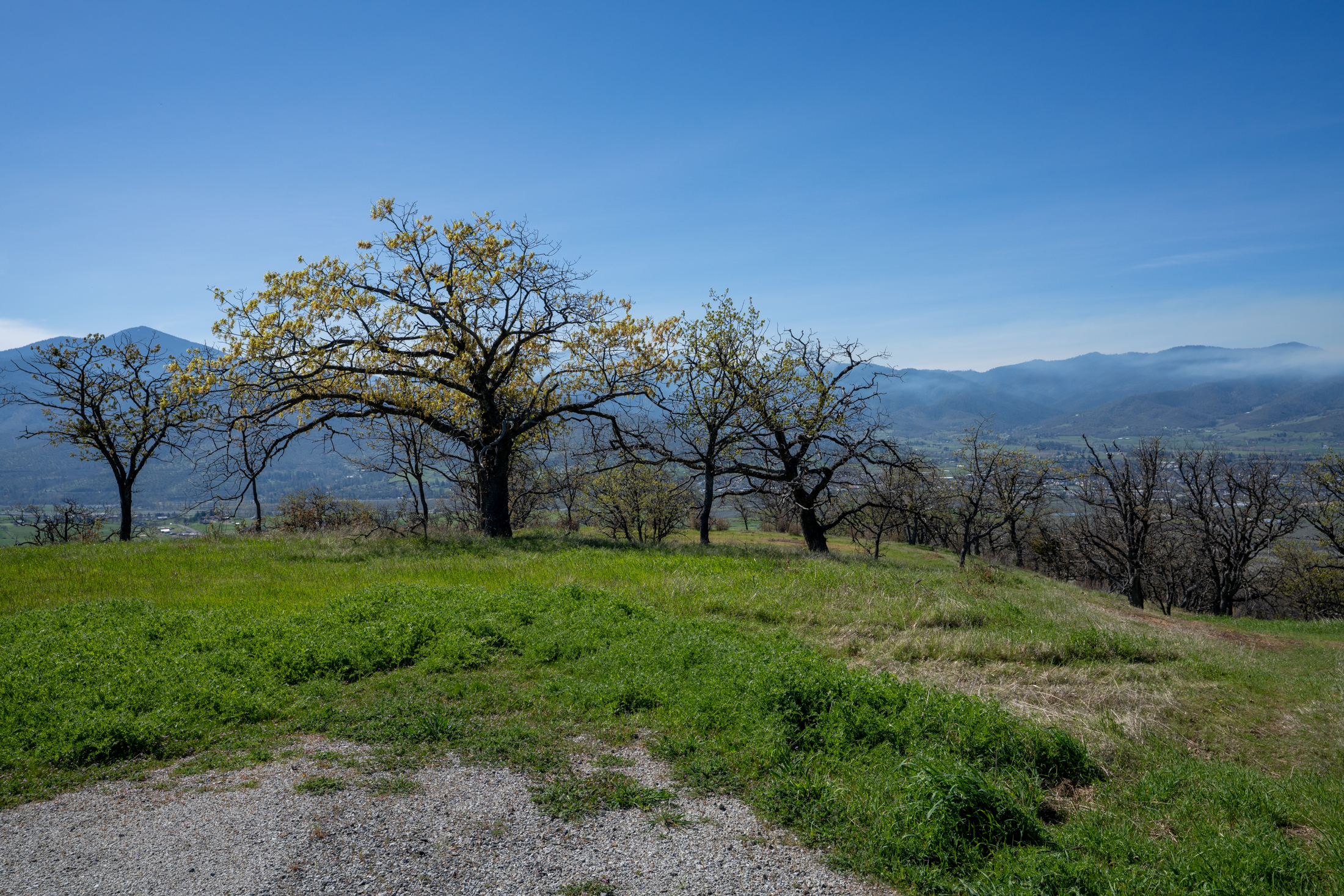 500 Canyon Hills Dr.