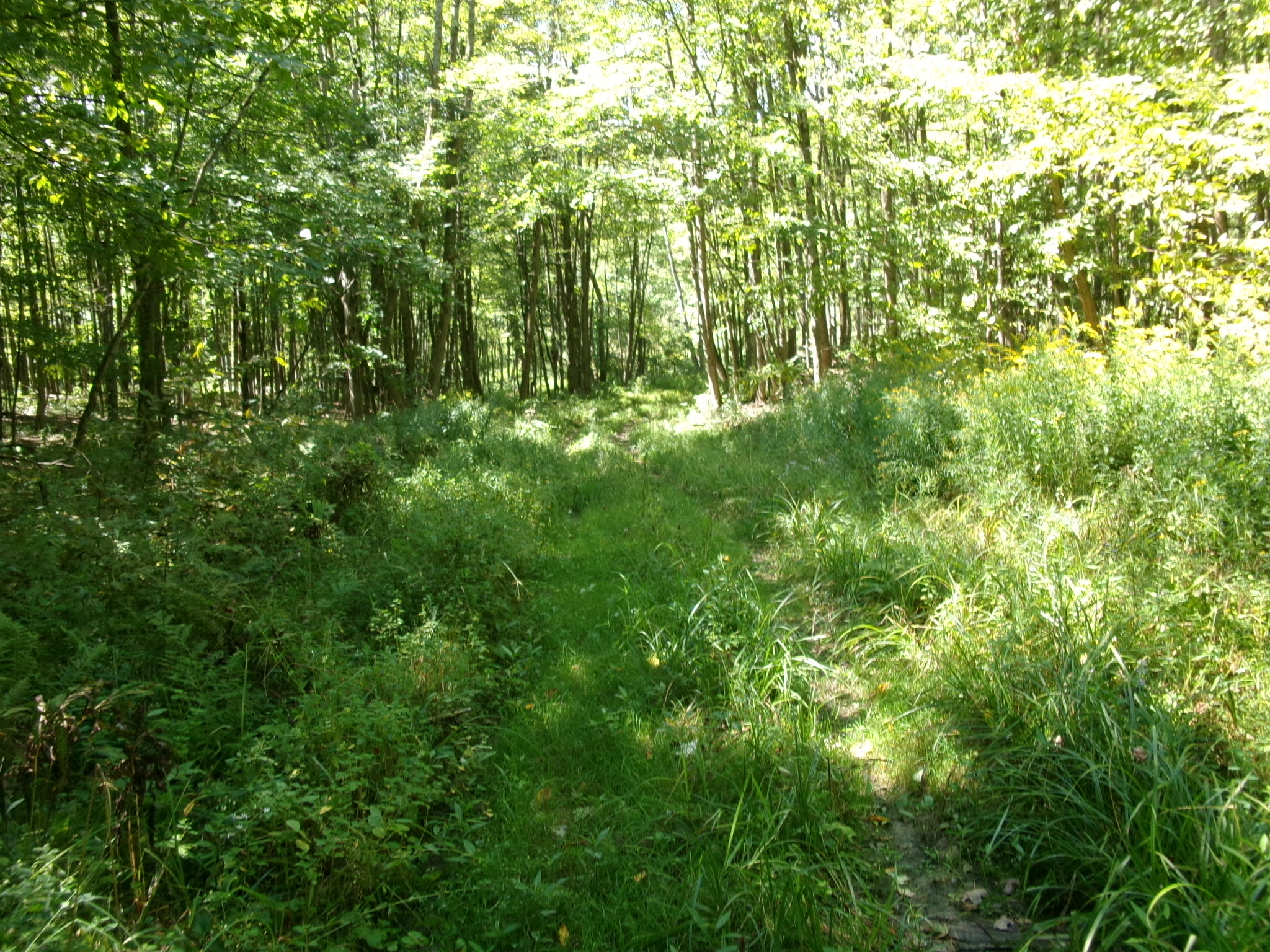 Listing Image 52