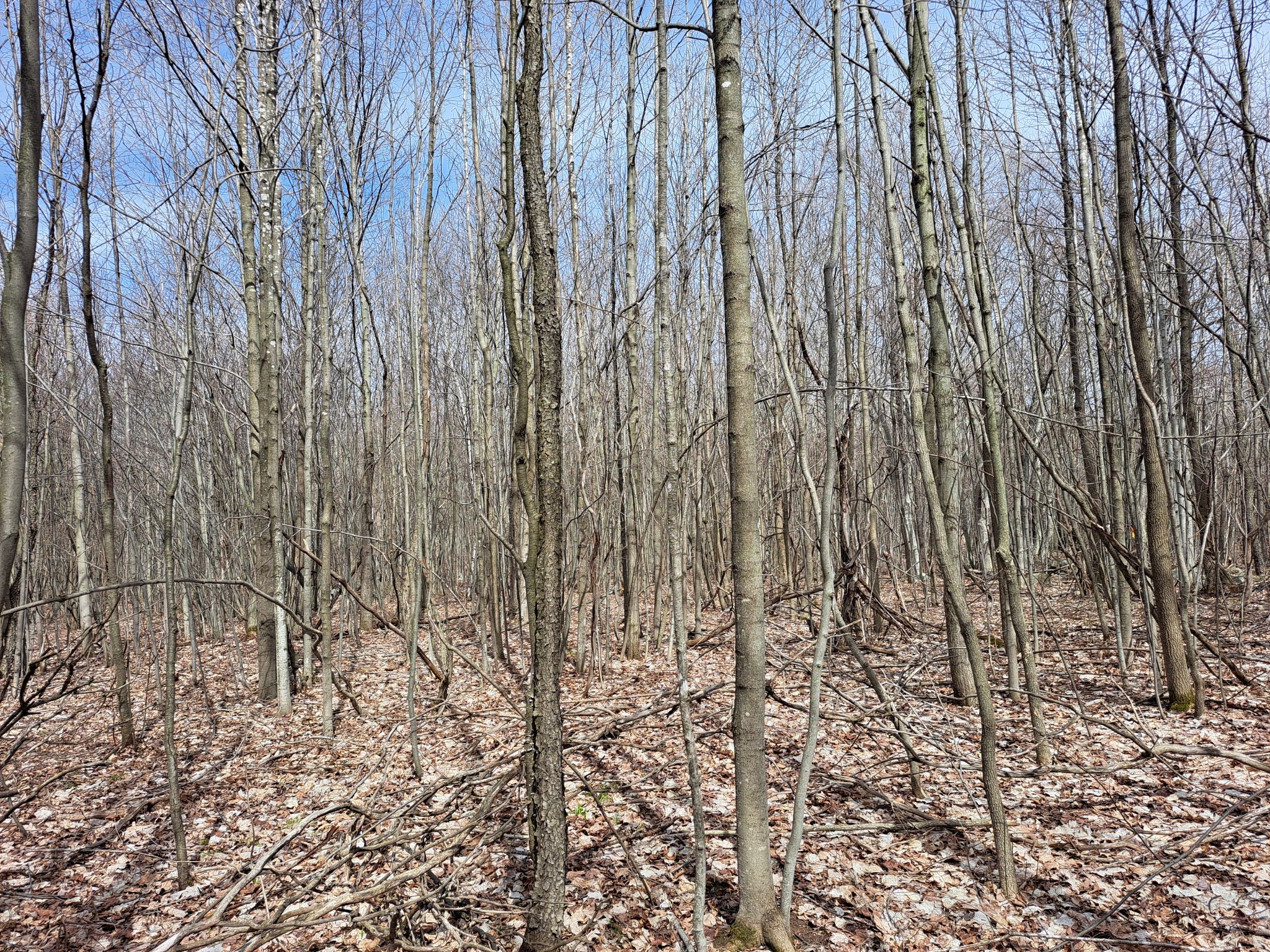 Listing Image 24