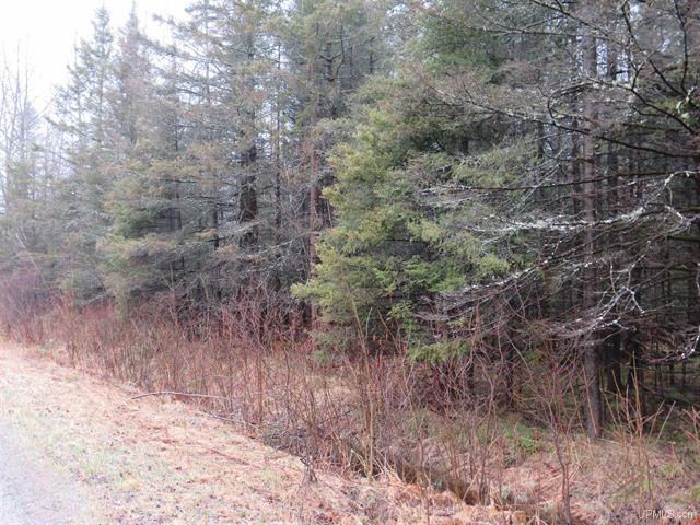 80 Acre Woodland Retreat 50173805
