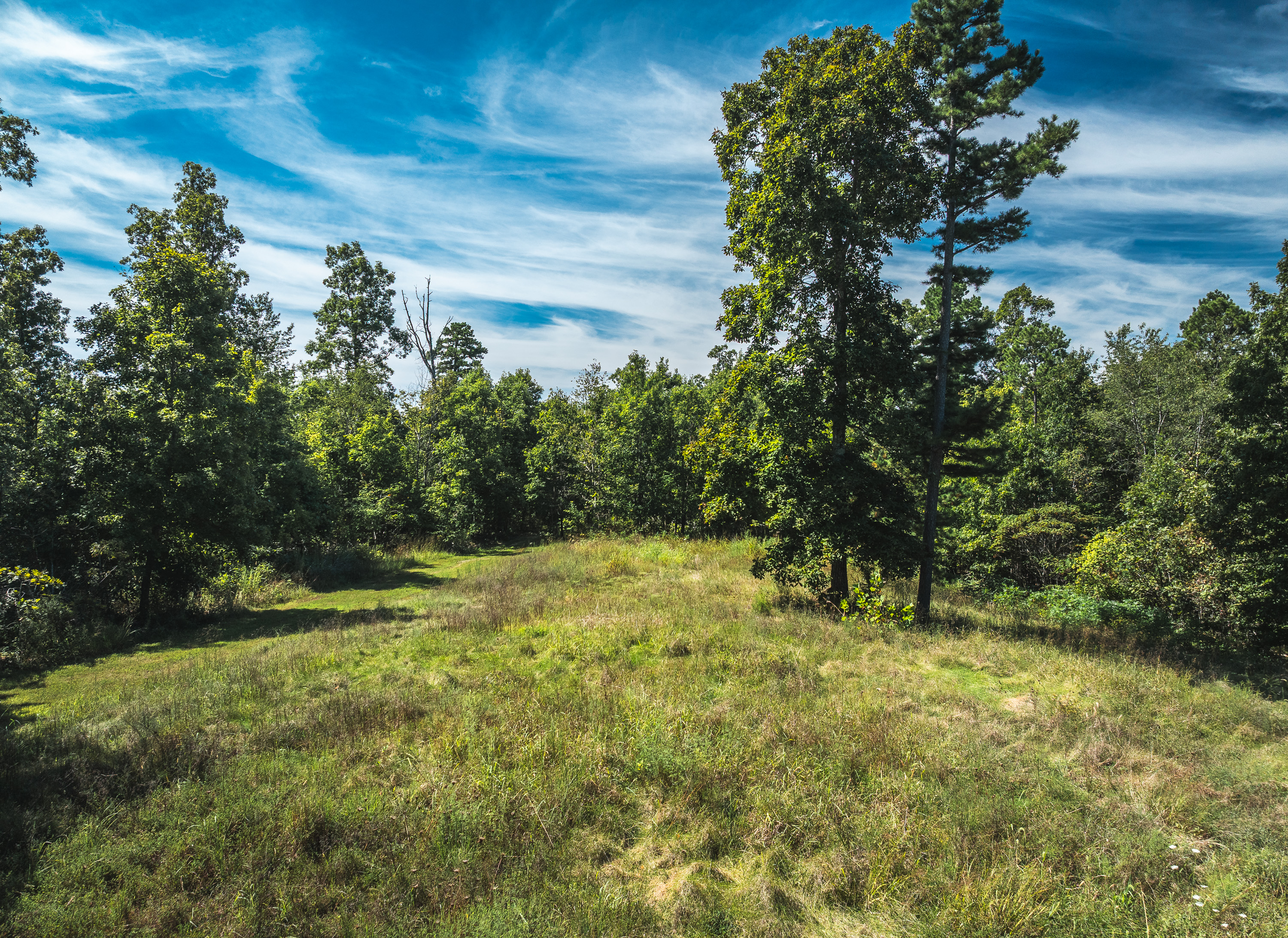 Ozark Wilderness Retreat