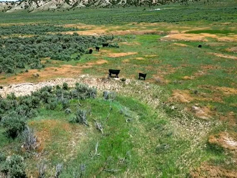 Maybell Grazing & Big Game Ranch