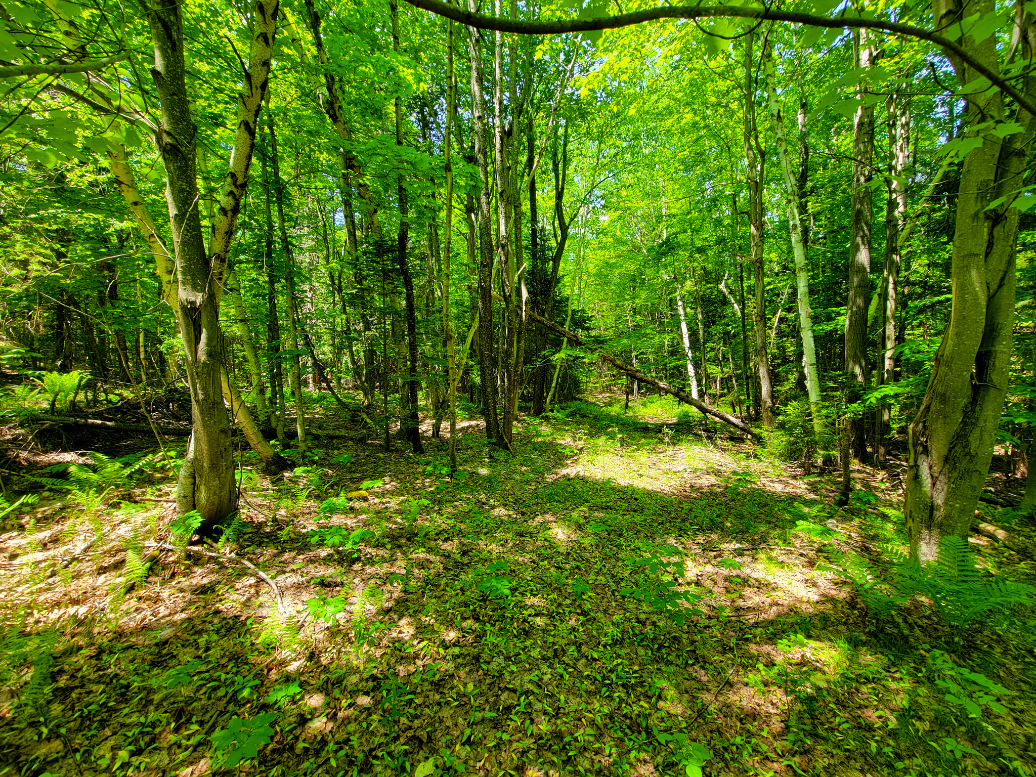280 Gorham Hill Road - Gorham, NH