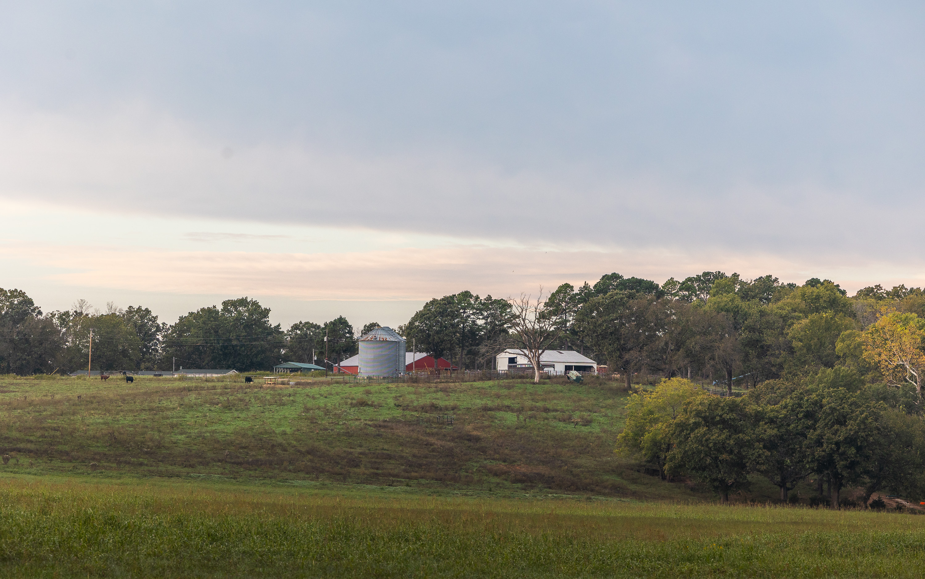 Listing Image 90