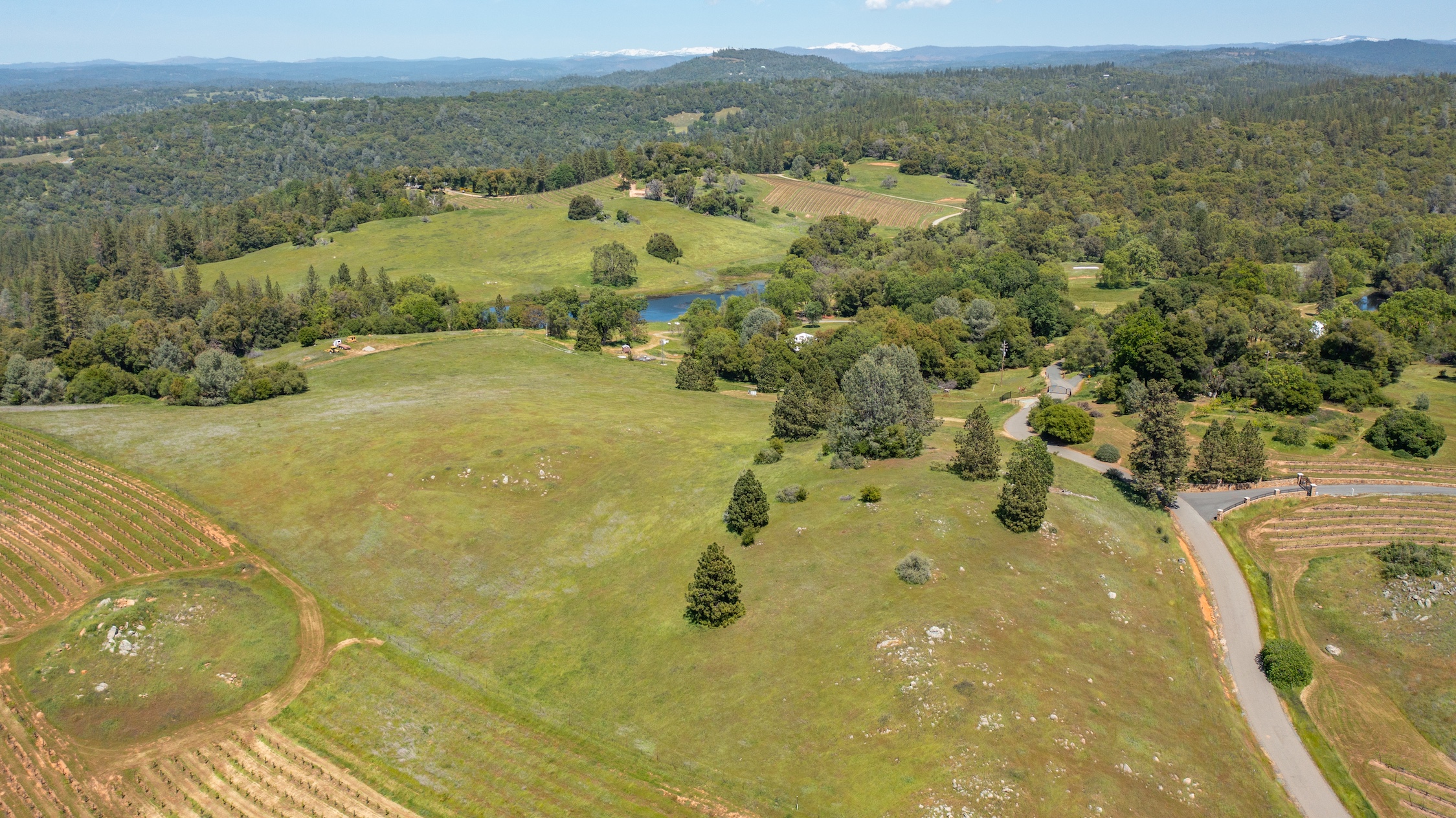 Listing Image 90