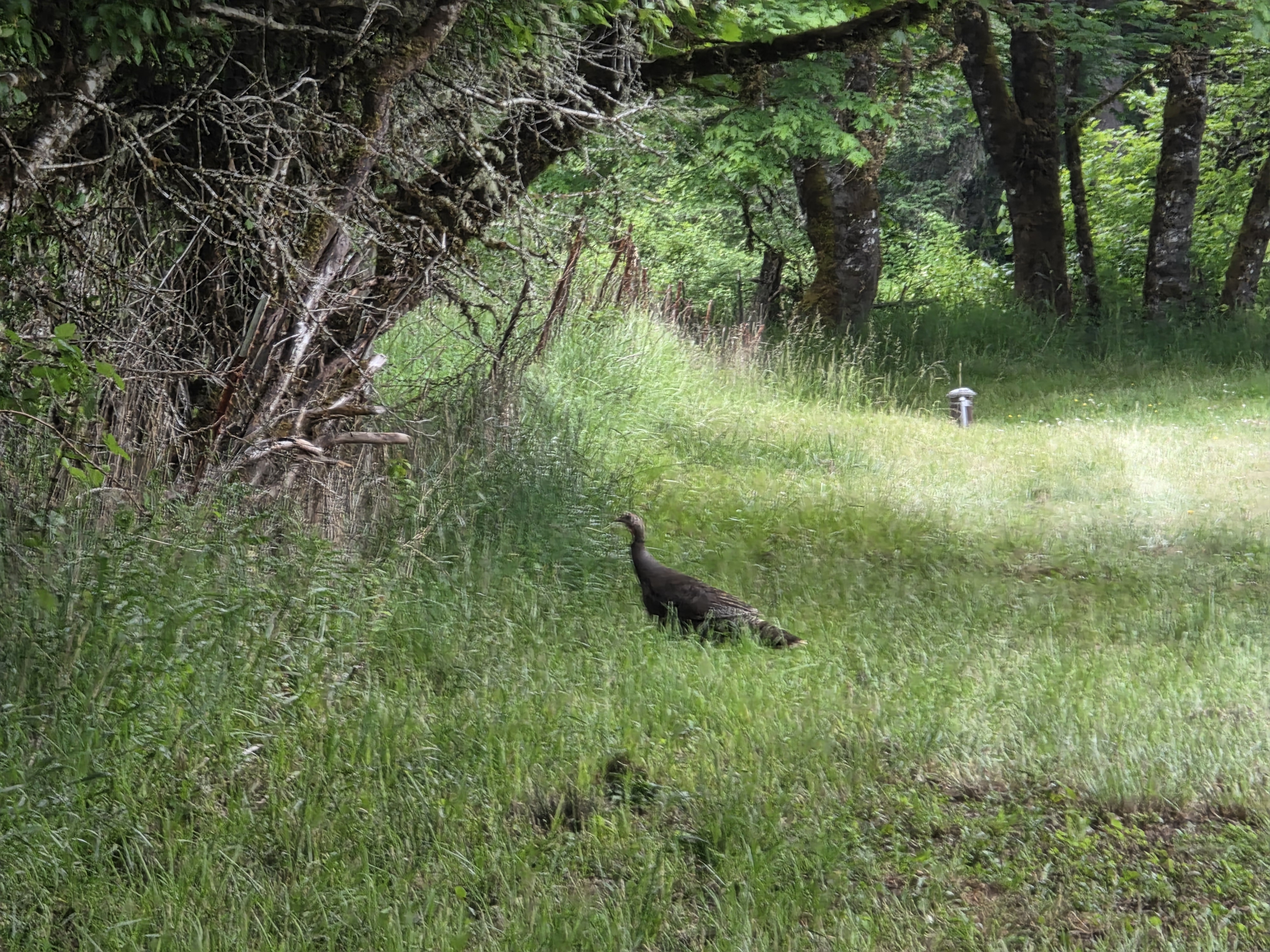 Kielblock Ranch