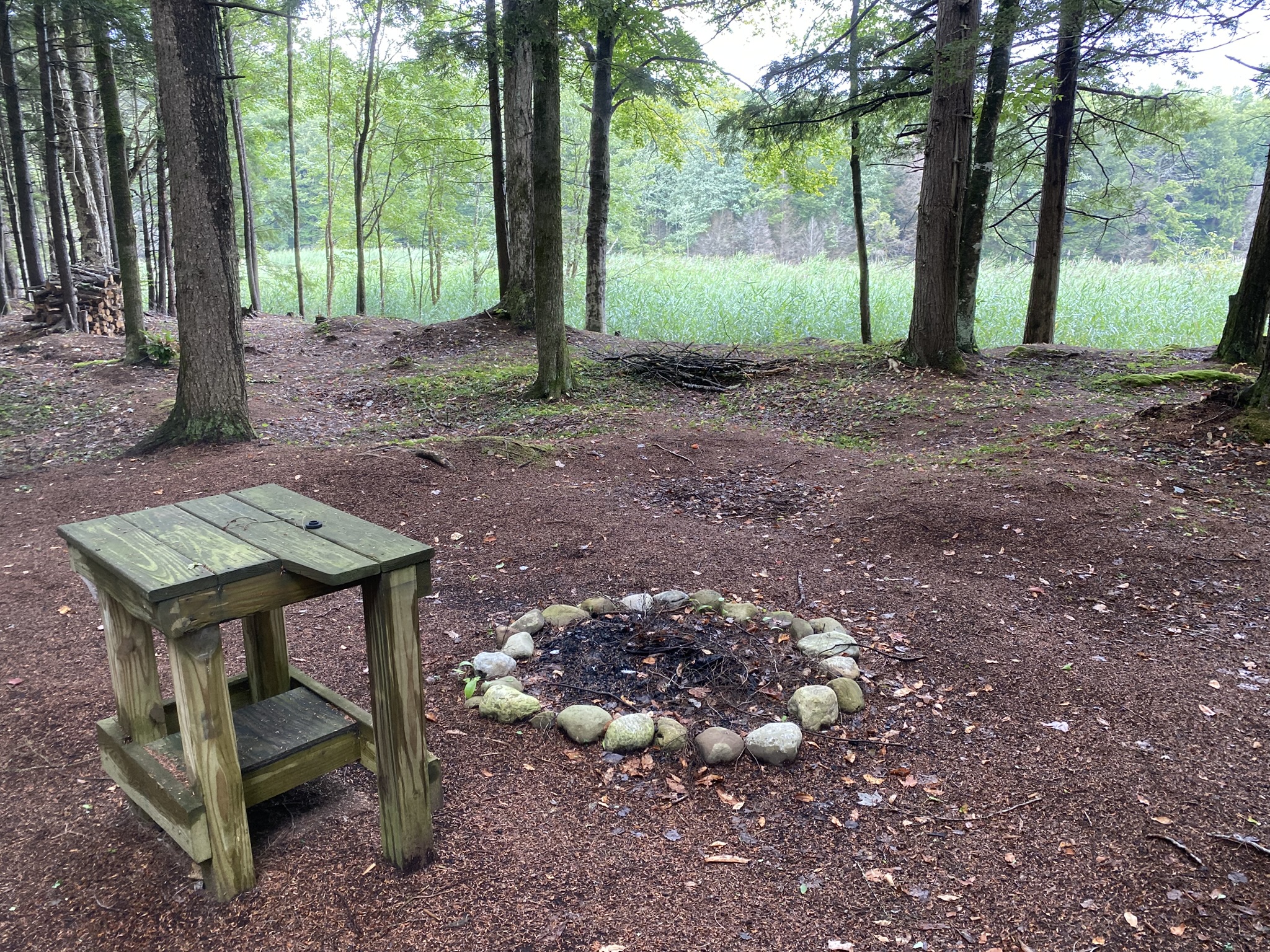Cabin on the Little River
