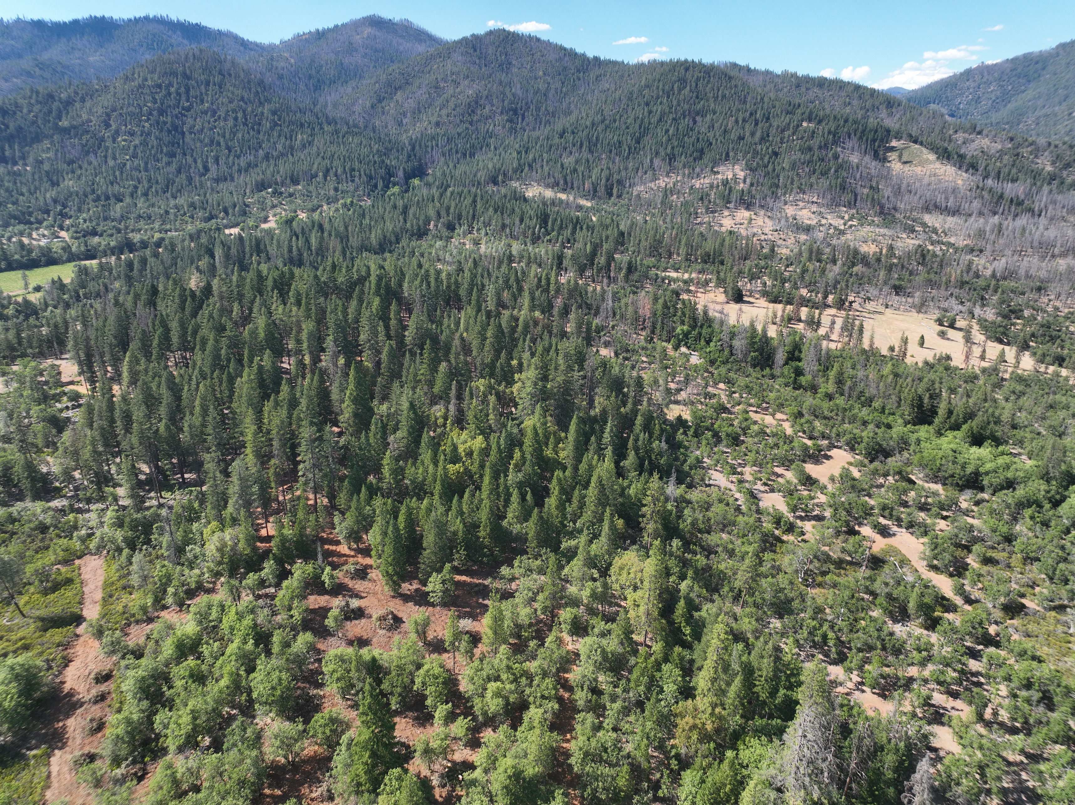 240 Acres Hayfork