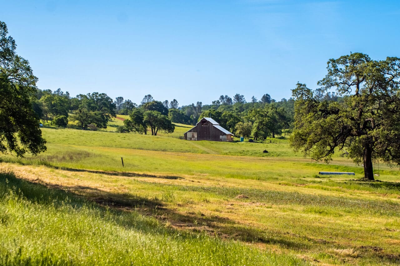 The Gann Ranch