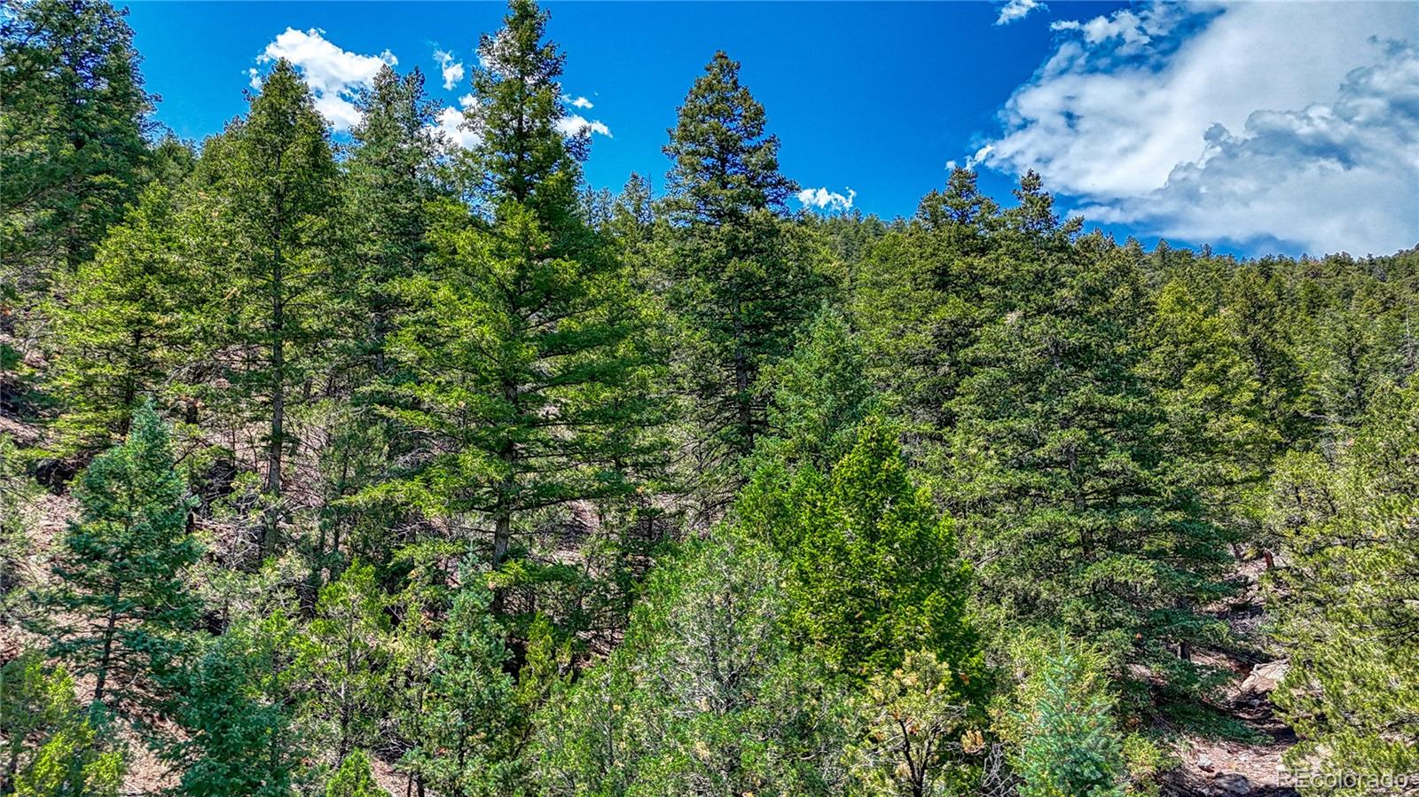 11 Lower Camp Road, Howard, CO 81233