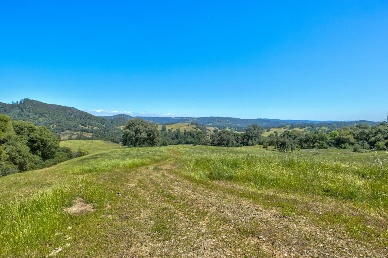 Listing Image 76
