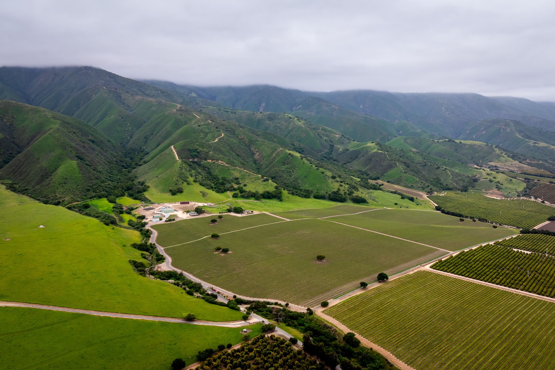 Boekenoogen Santa Lucia Highlands Vineyard