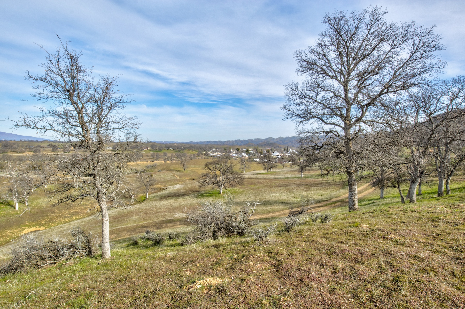 Elk Creek Ranchette