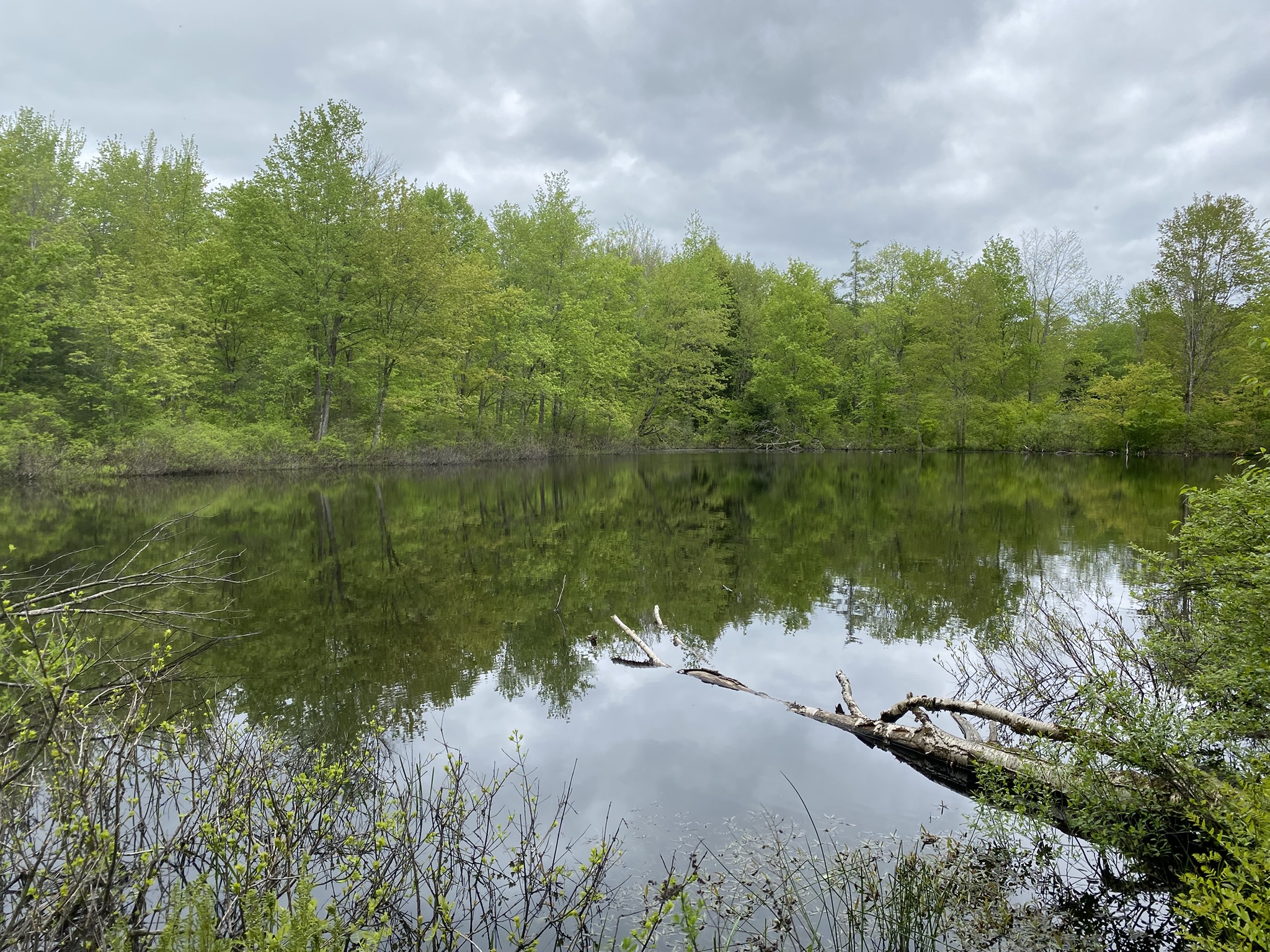 Little Salmon River Country