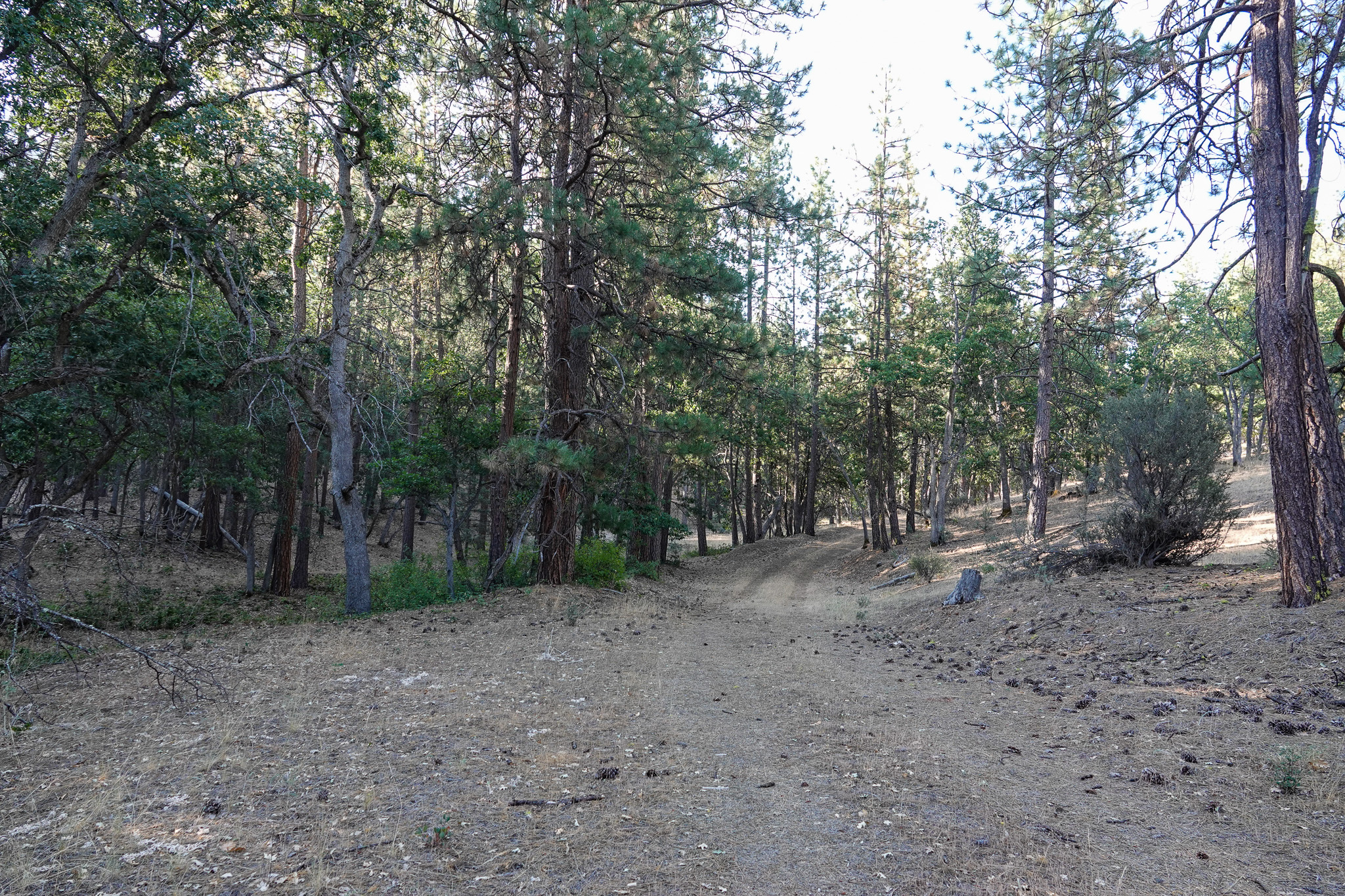 East Road Ragland Gulch Acreage